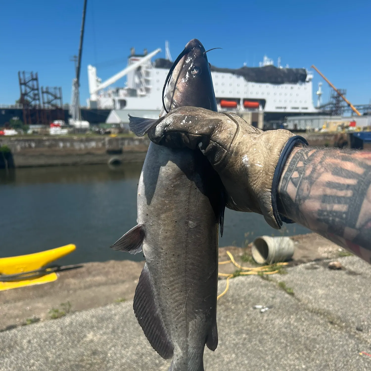 catch