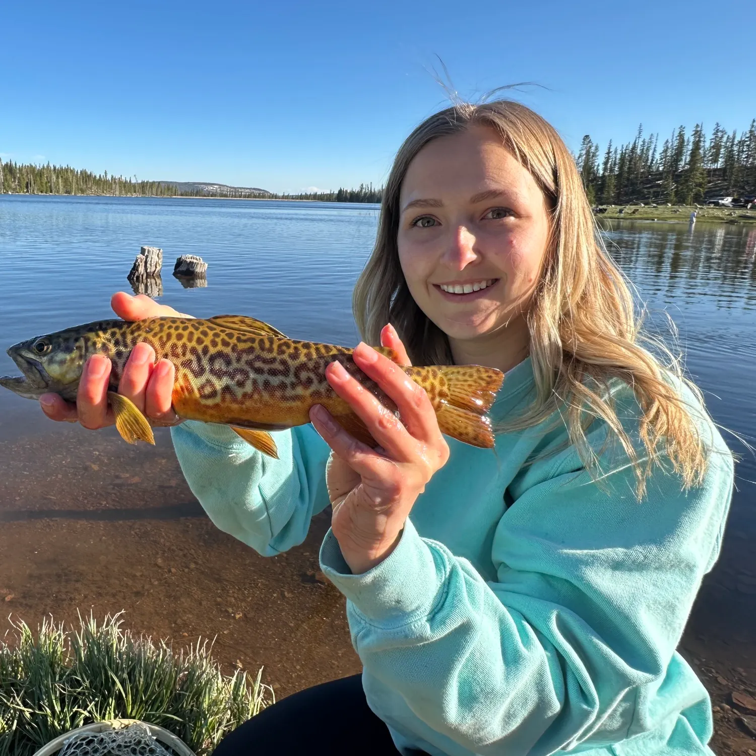 angler catch