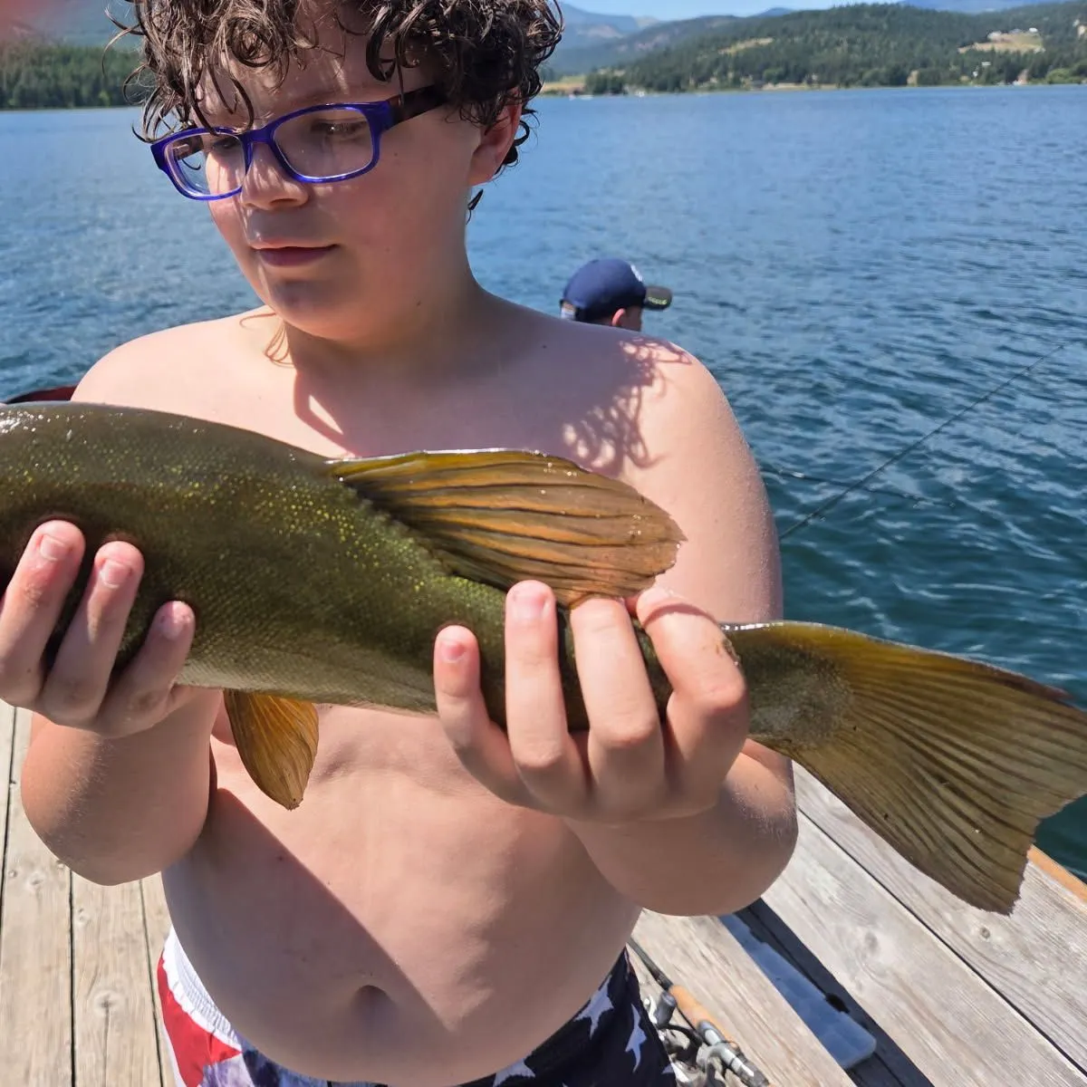 The most recent Tench catches on Fishbrain