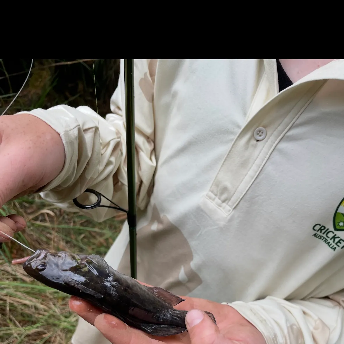 The most recent River blackfish catches on Fishbrain