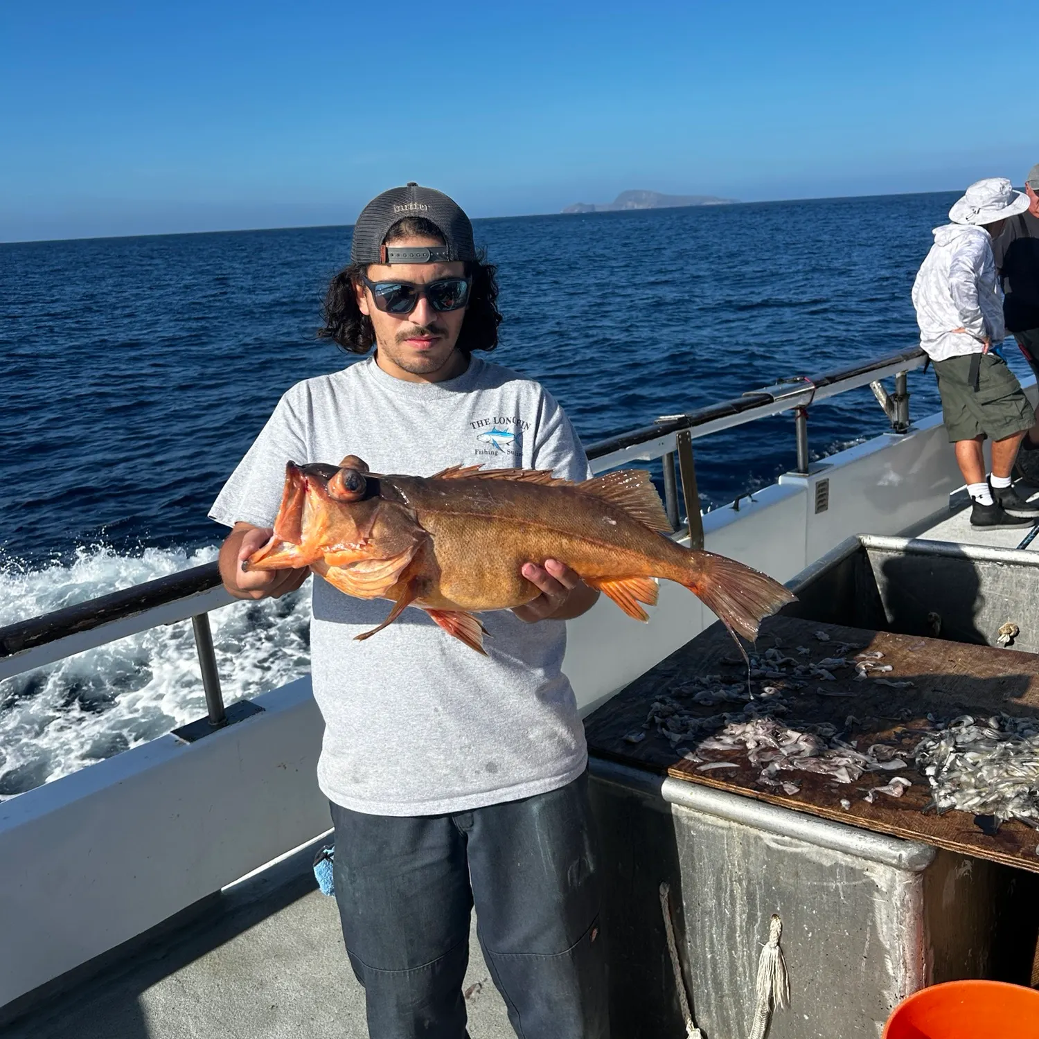 Bocaccio rockfish caught on Fishbrain