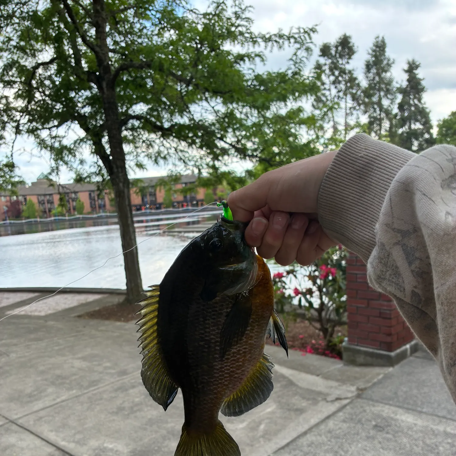 catch