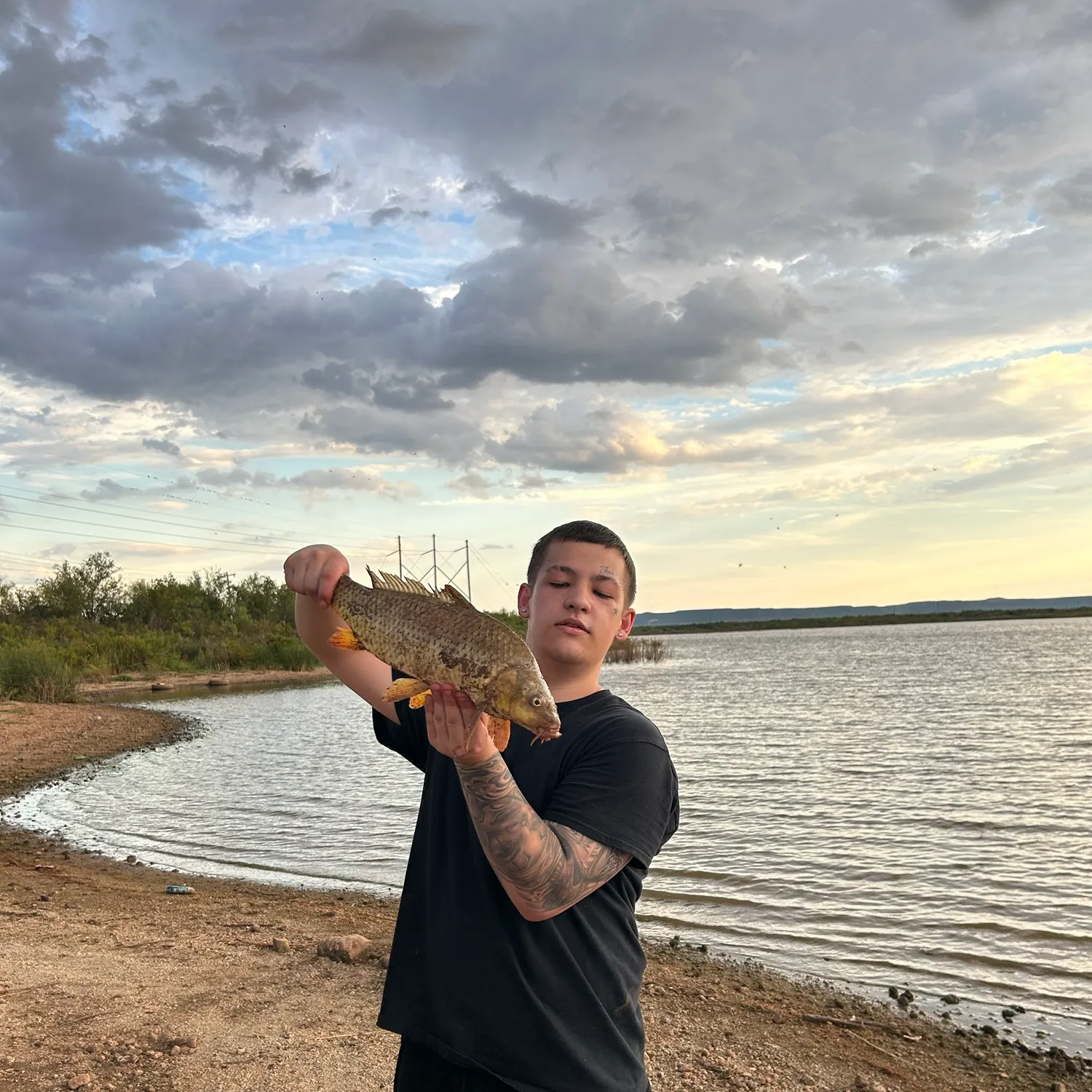 Common carp caught on Fishbrain