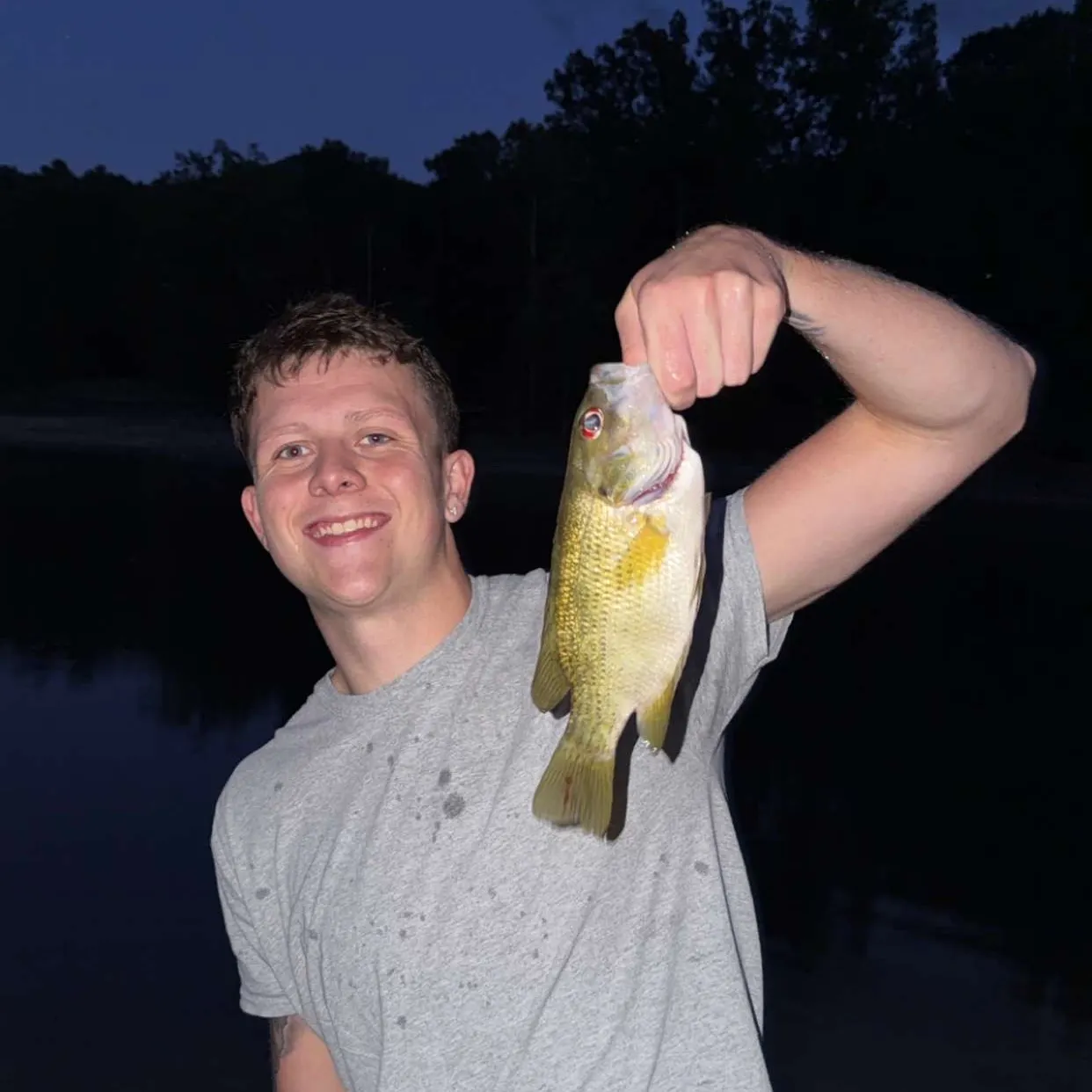 Smallmouth bass caught on Fishbrain