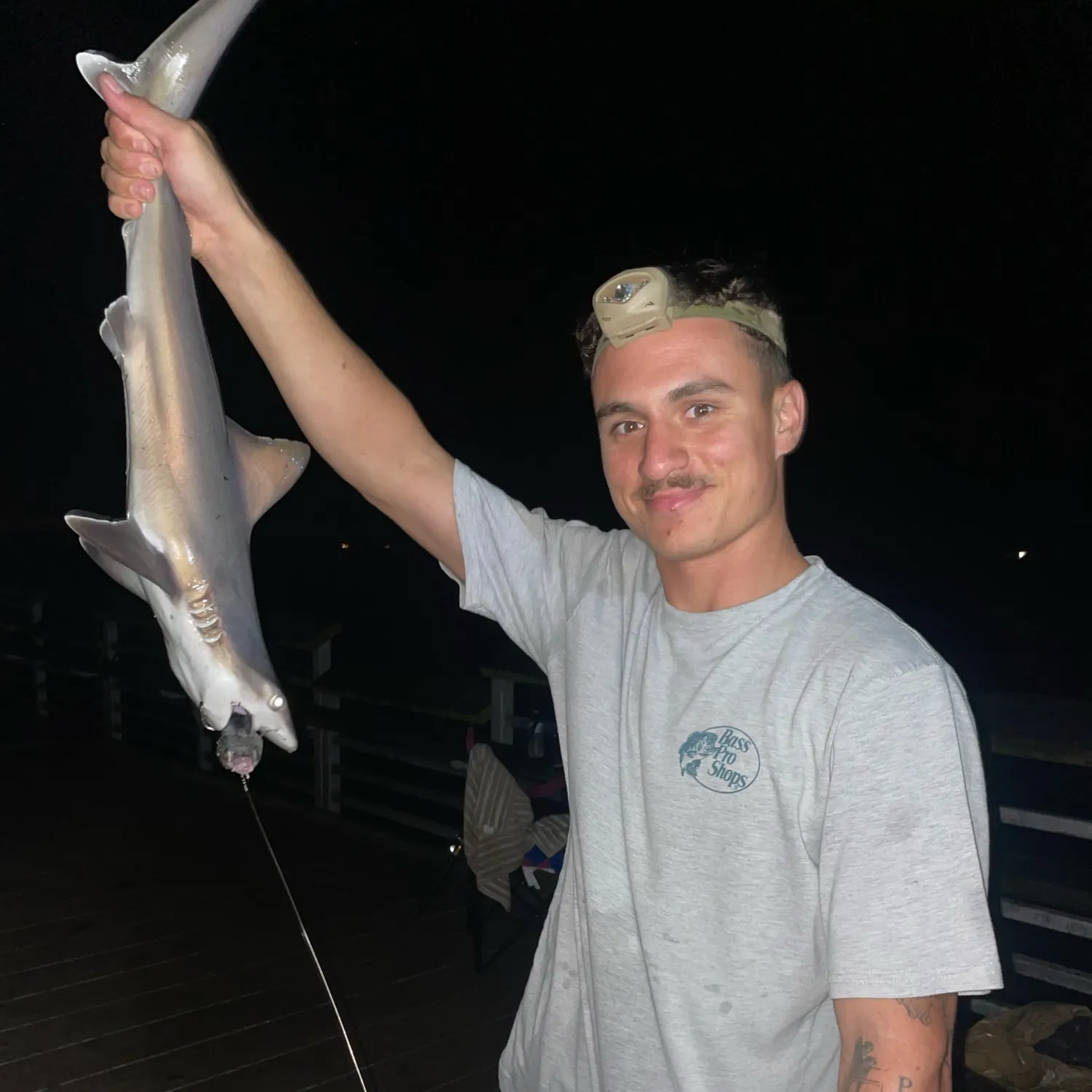 Atlantic sharpnose shark caught on Fishbrain