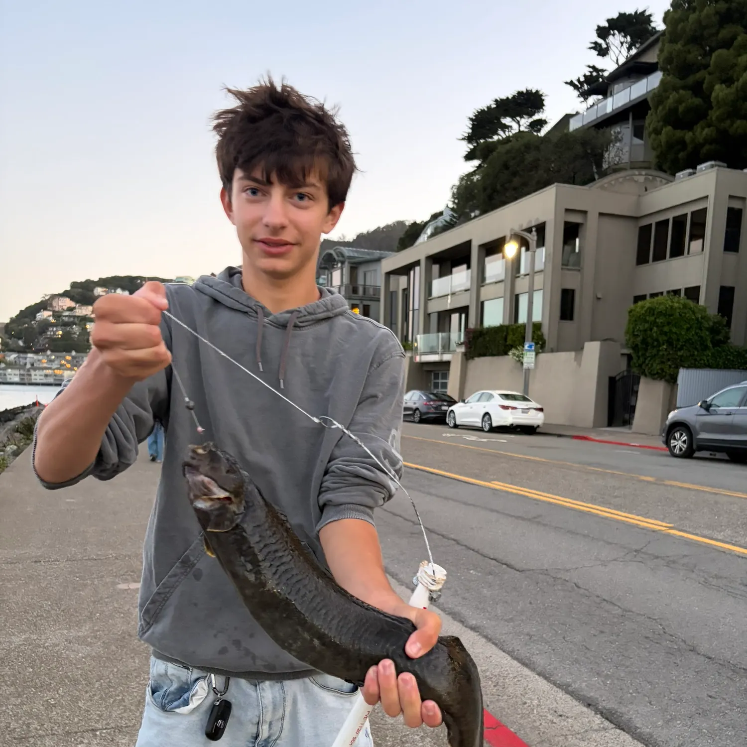 The most recent Monkeyface prickleback catches on Fishbrain