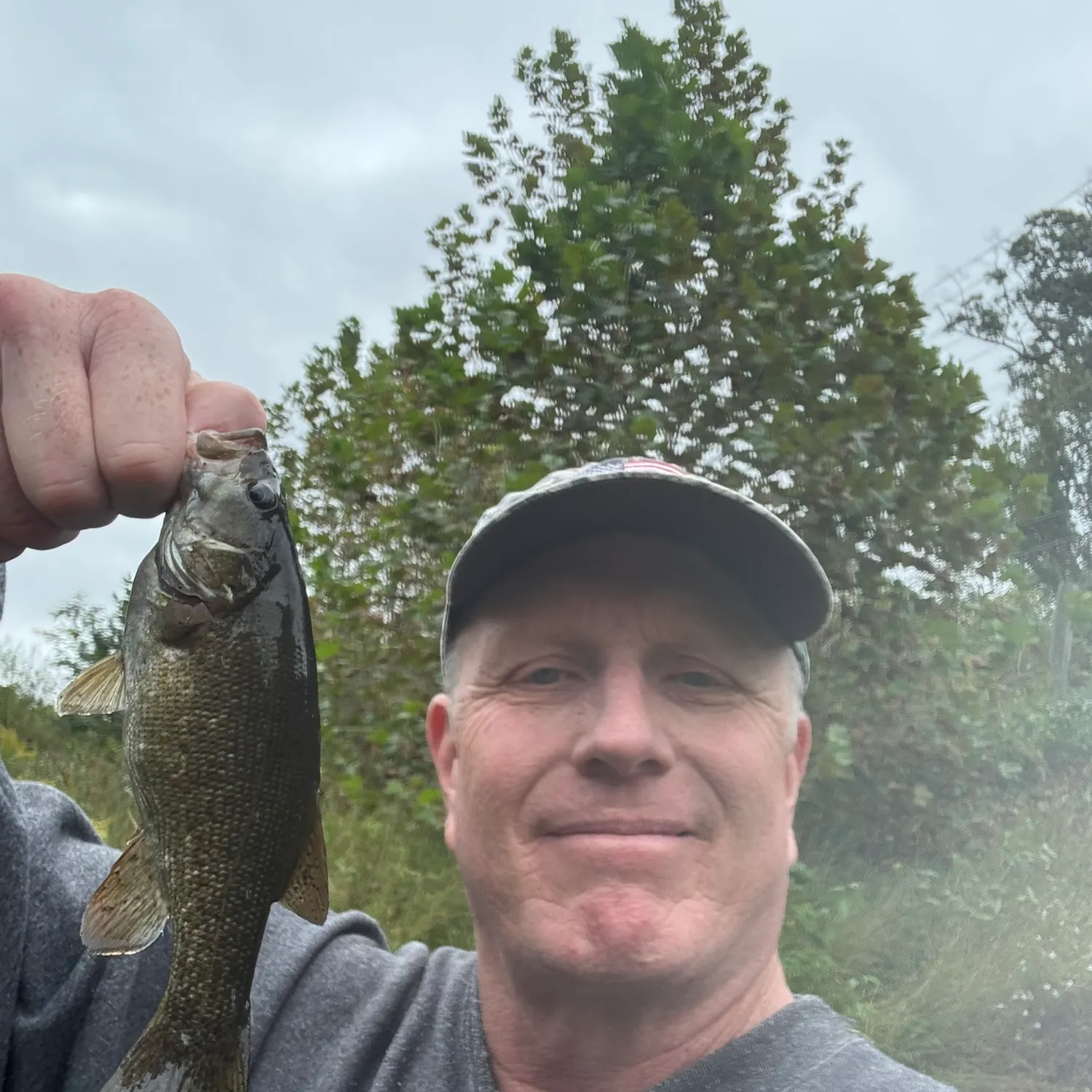 Smallmouth bass caught on Fishbrain