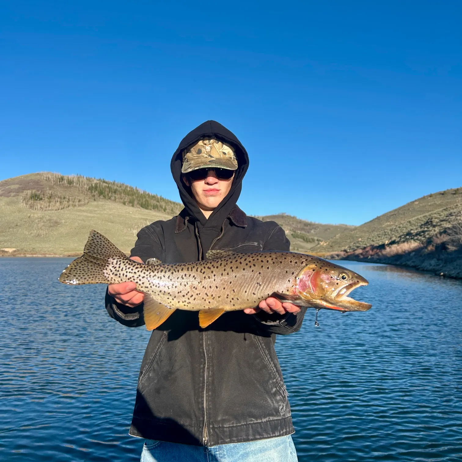 The most recent Bear Lake cutthroat trout catches on Fishbrain