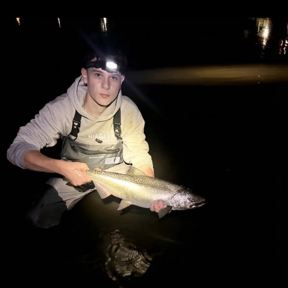 Chinook salmon caught on Fishbrain