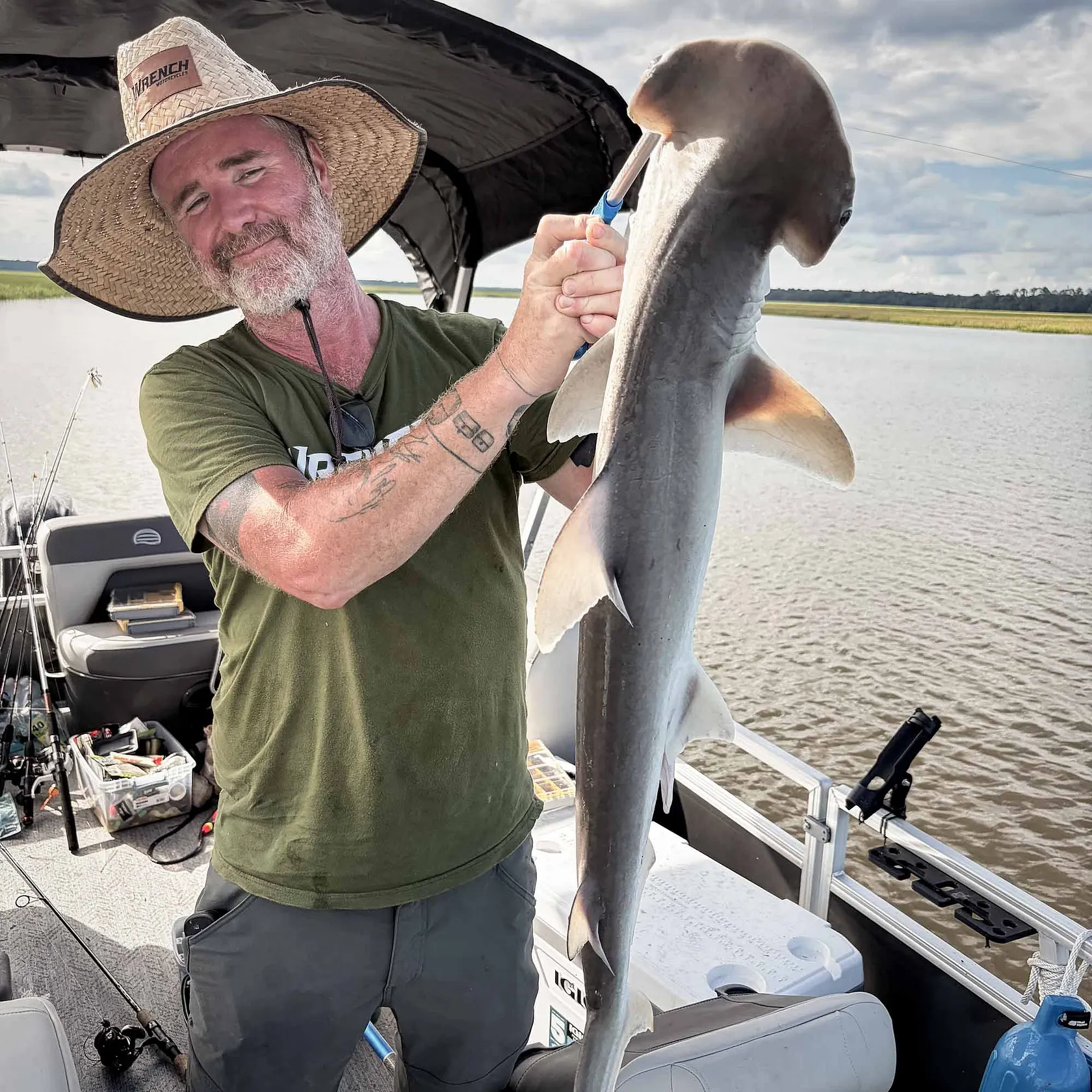 Bonnethead shark caught on Fishbrain