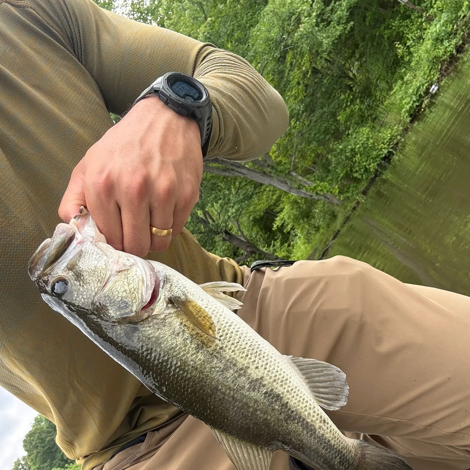 catch