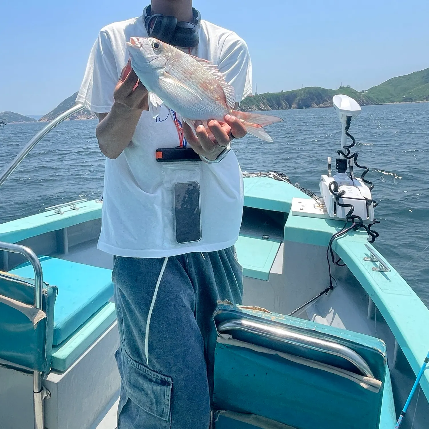 Australasian snapper caught on Fishbrain