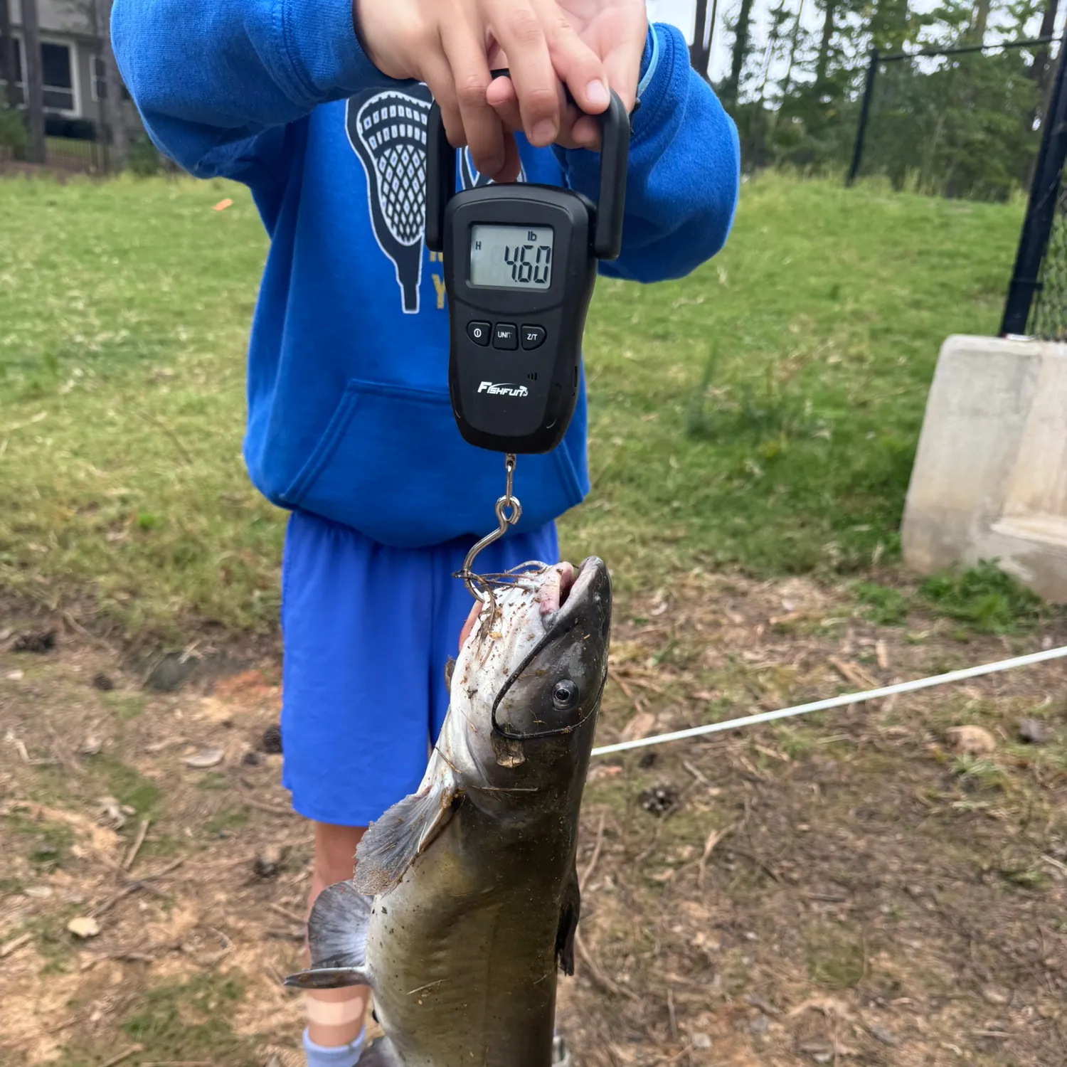 Channel catfish caught on Fishbrain