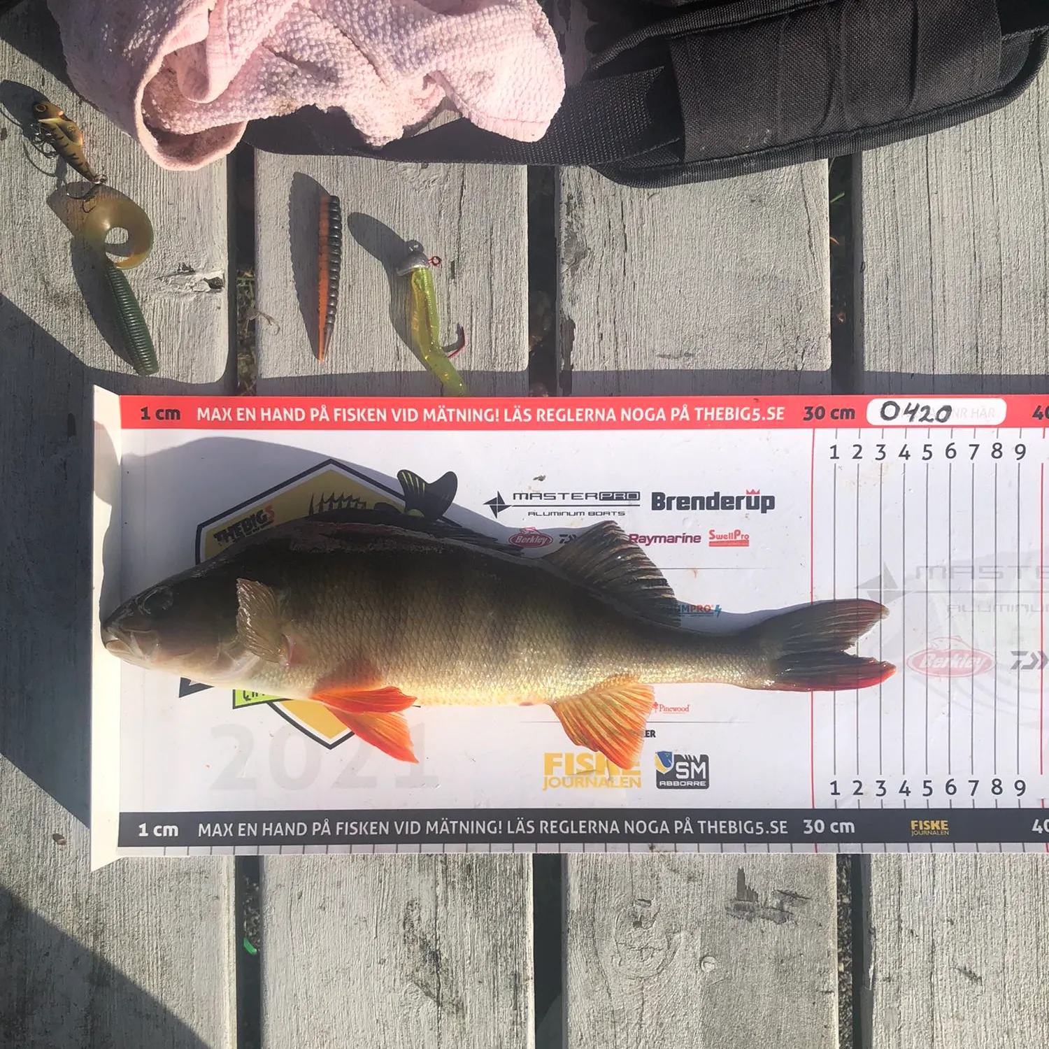 recently logged catches