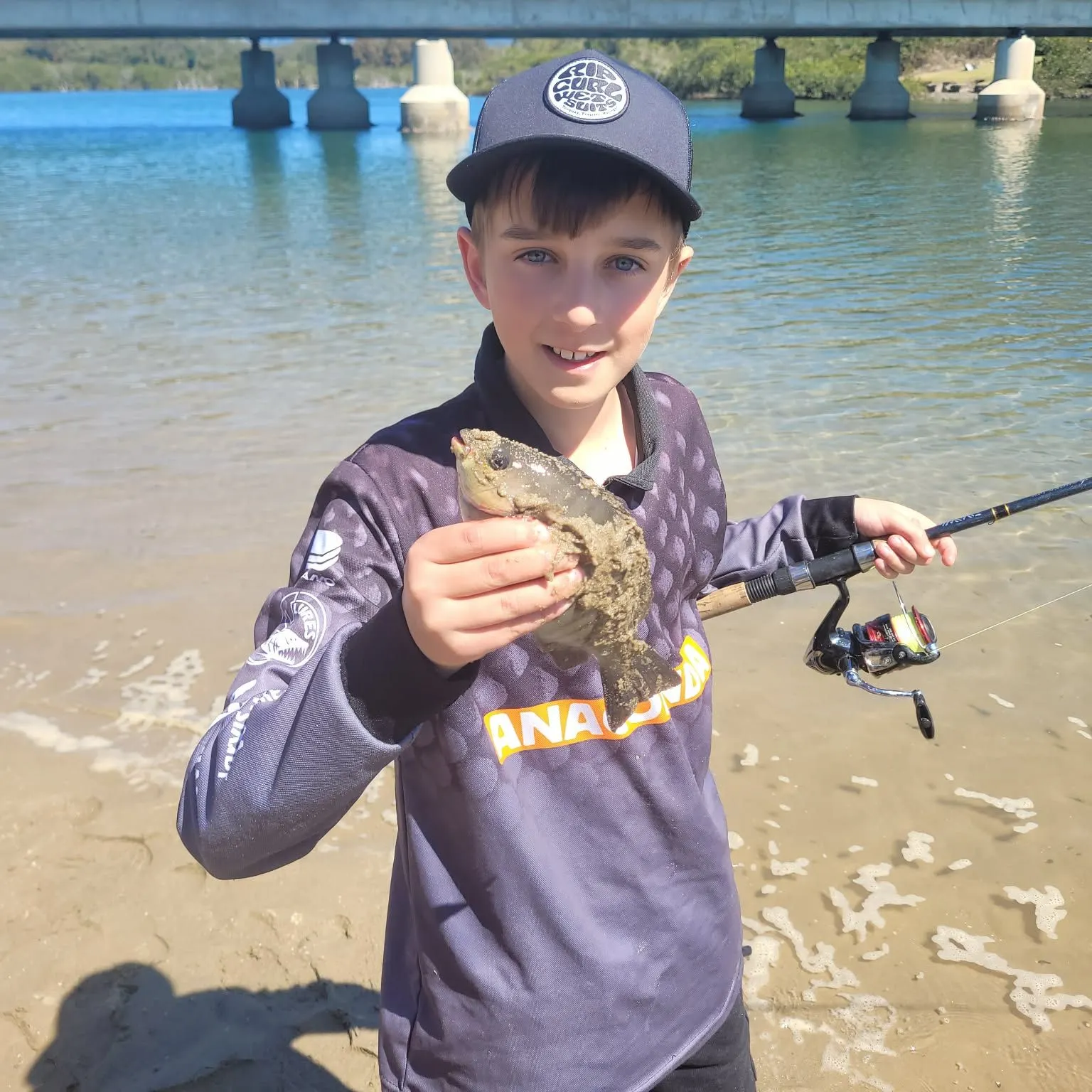 Luderick caught on Fishbrain