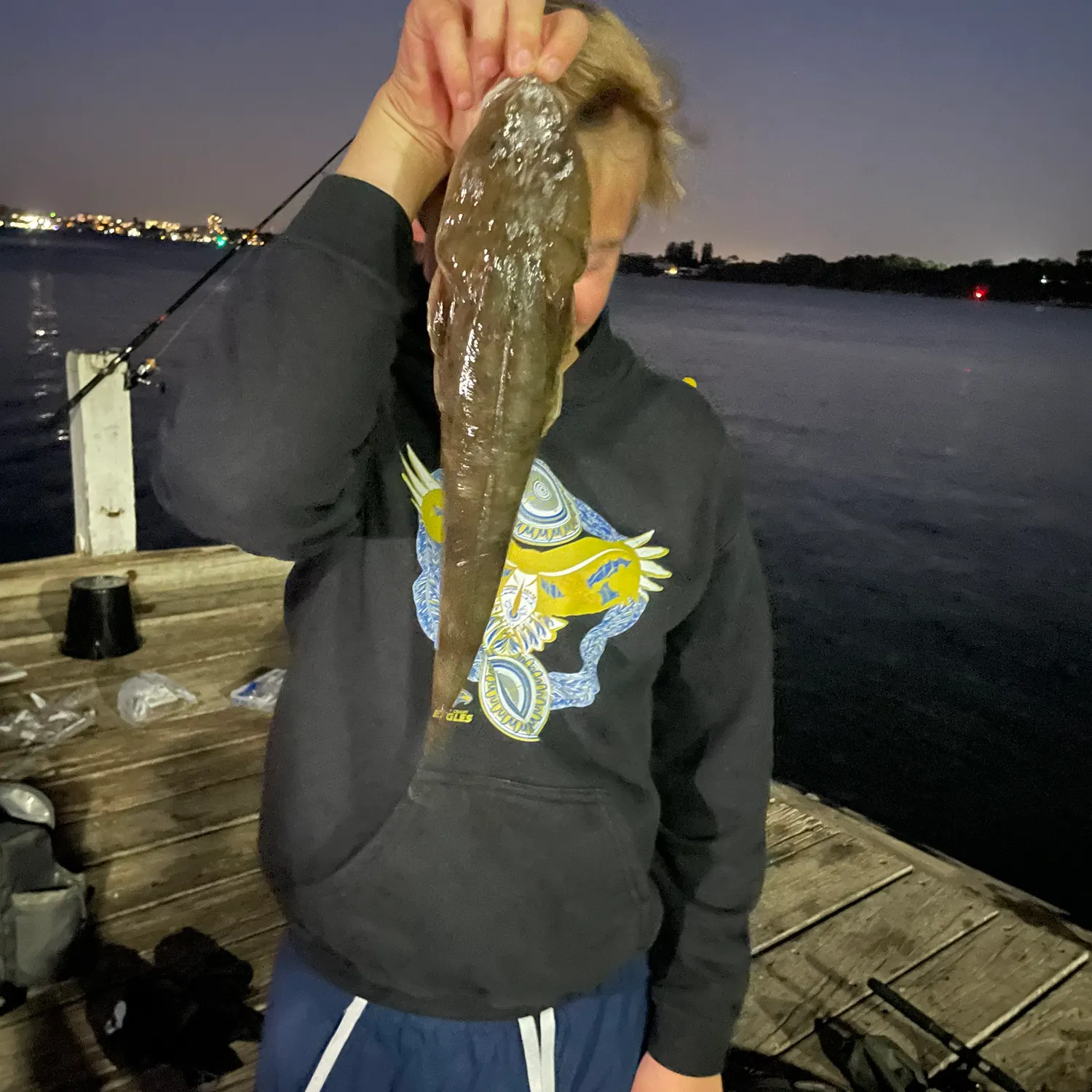 The most recent Bartail flathead catches on Fishbrain