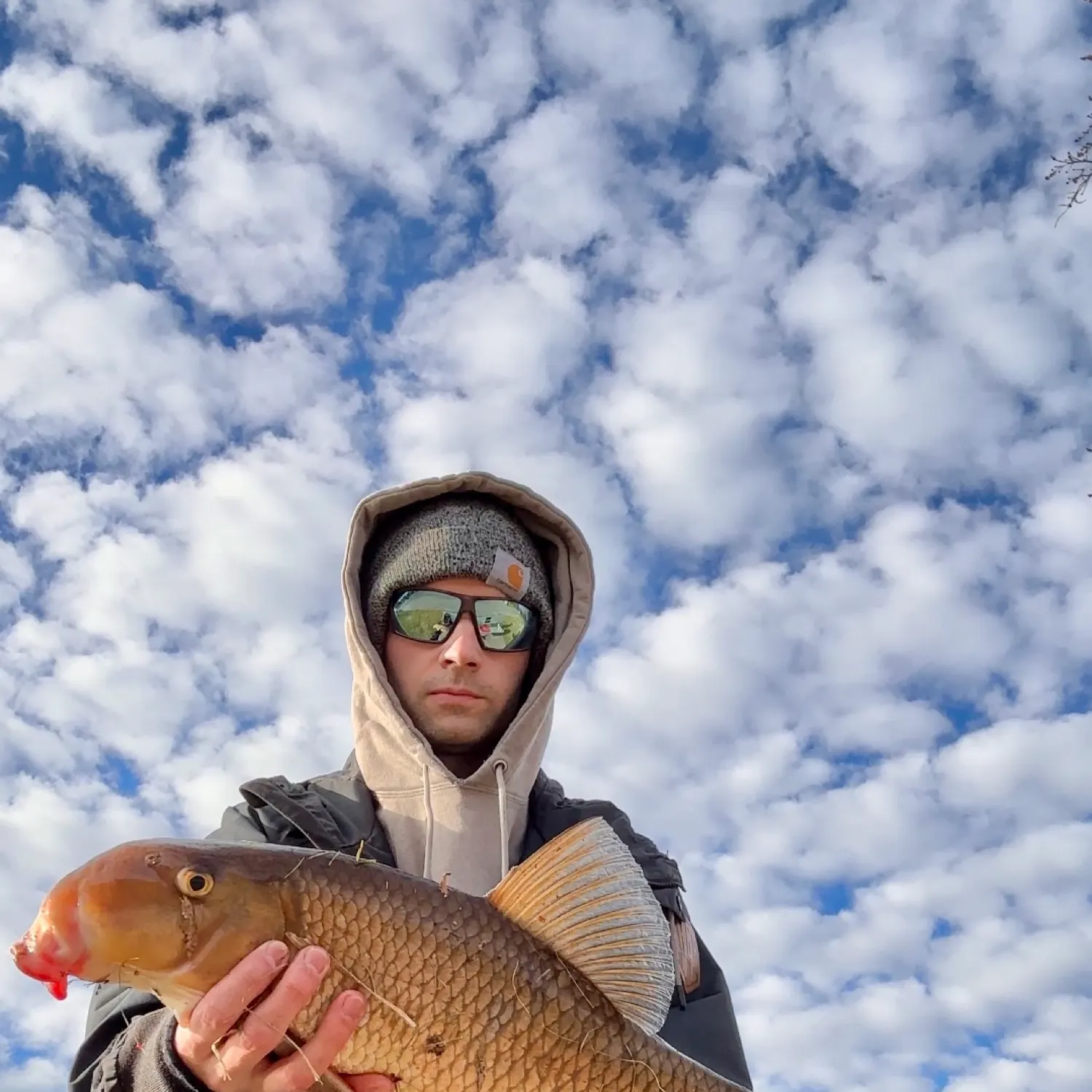The most recent Greater redhorse catches on Fishbrain