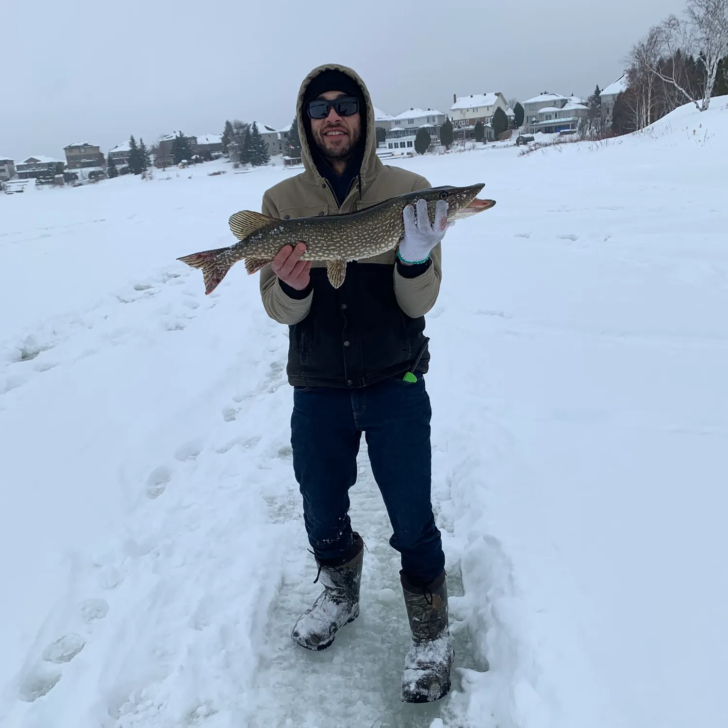 The most recent Northern pike catches on Fishbrain