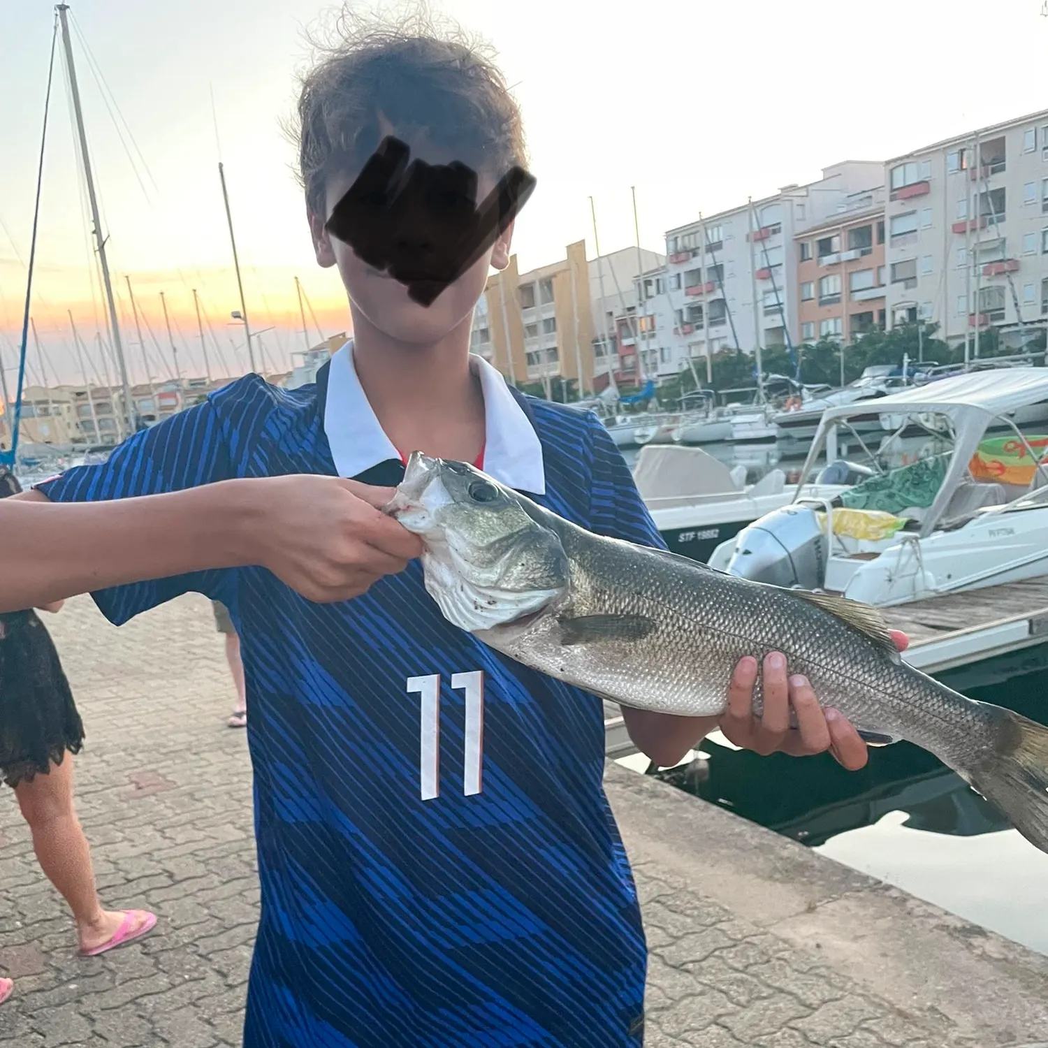 The most recent European seabass catches on Fishbrain