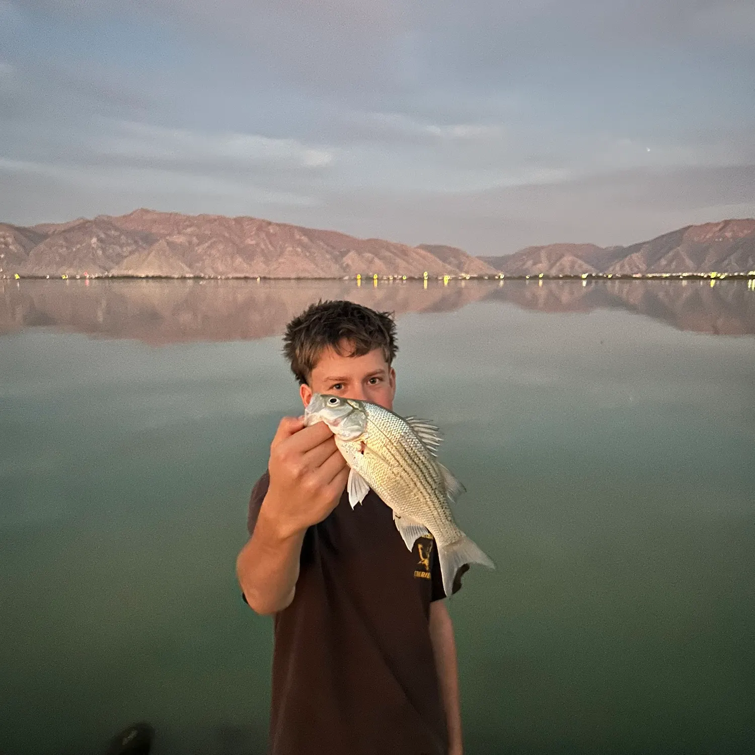White bass caught on Fishbrain