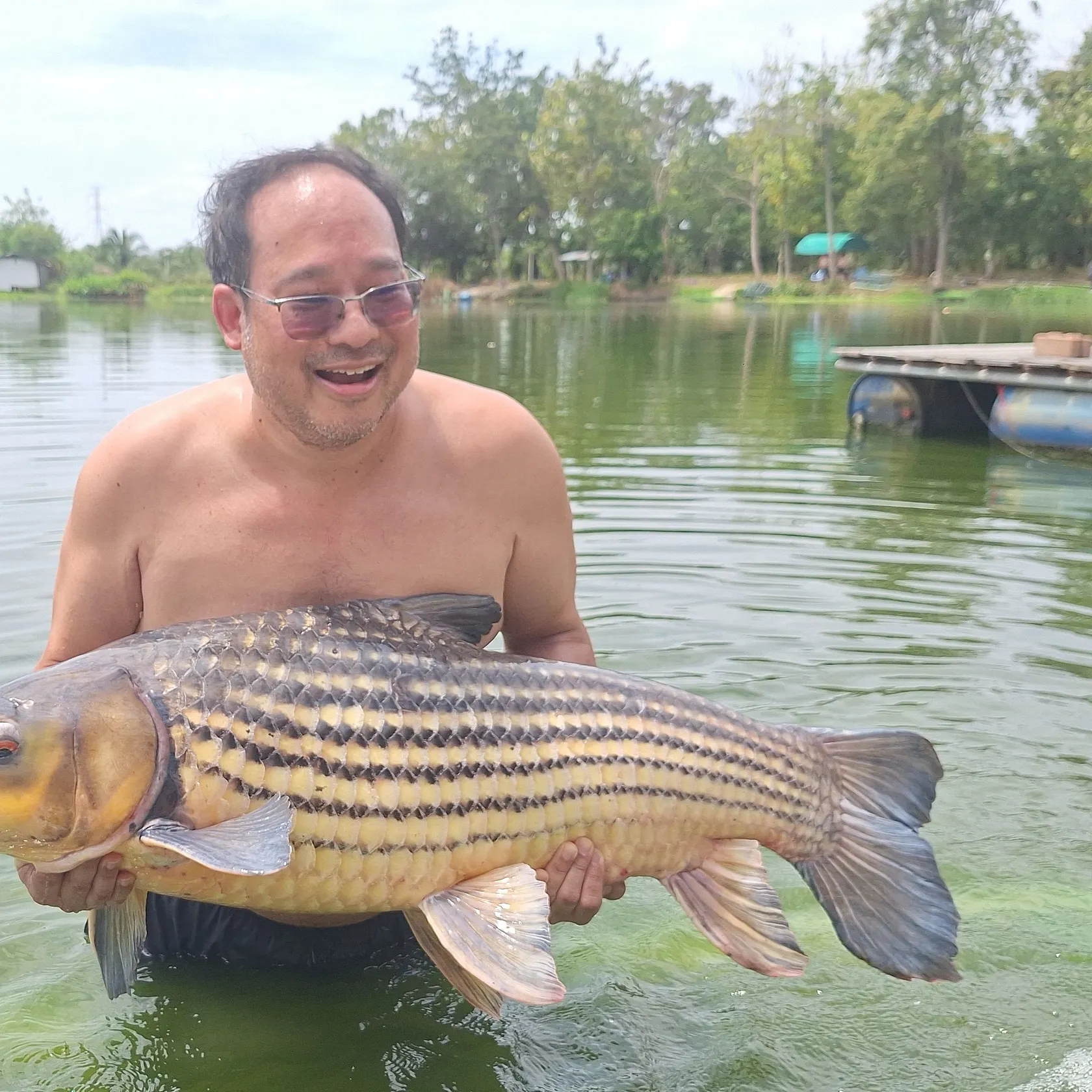 Julian's golden carp caught on Fishbrain