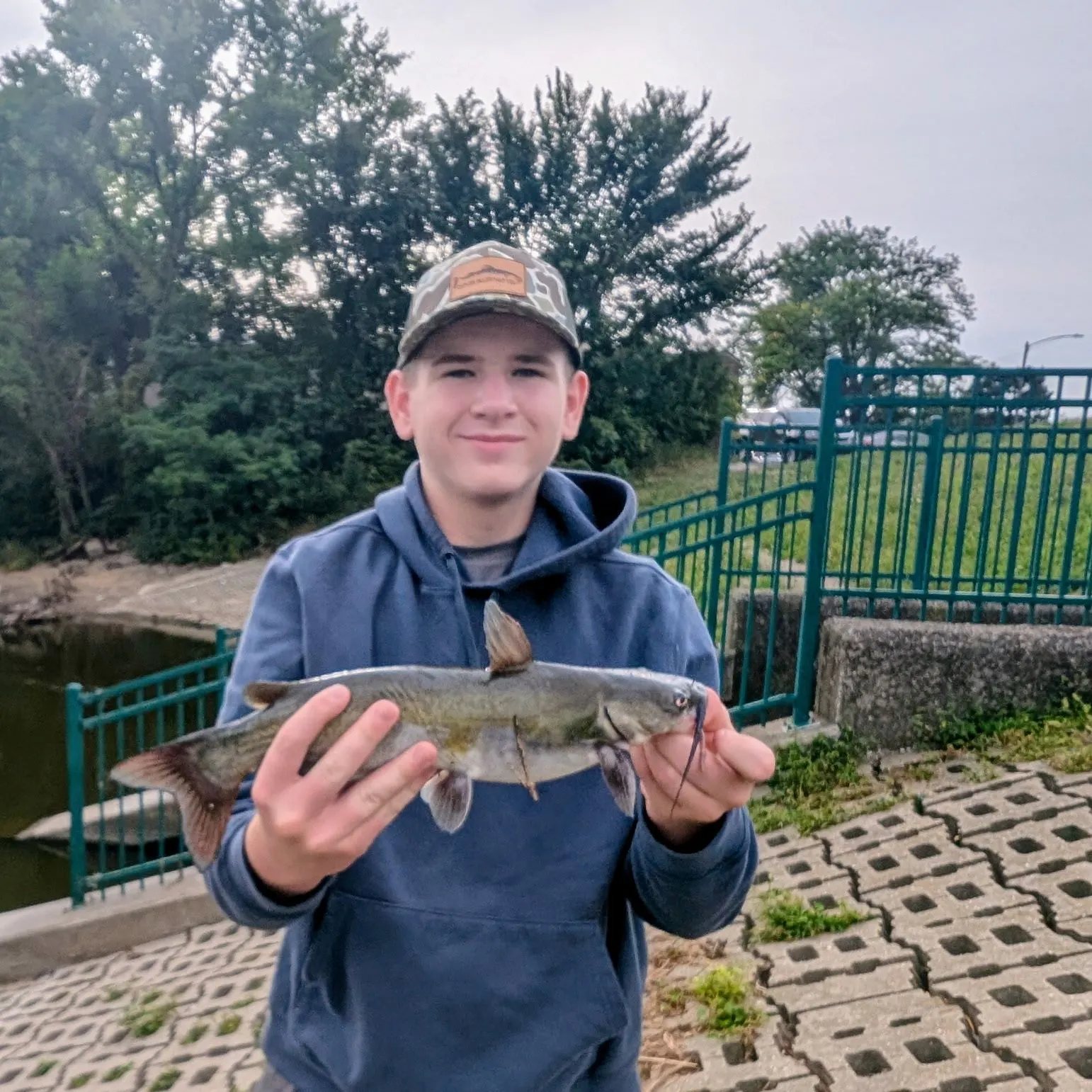 Channel catfish caught on Fishbrain