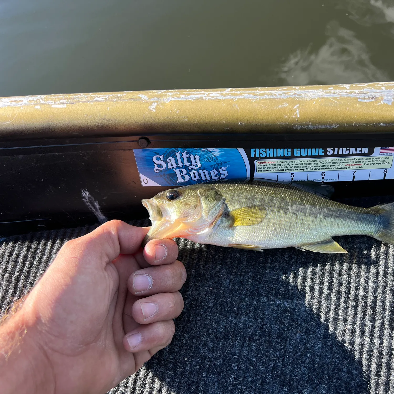 Largemouth bass caught on Fishbrain