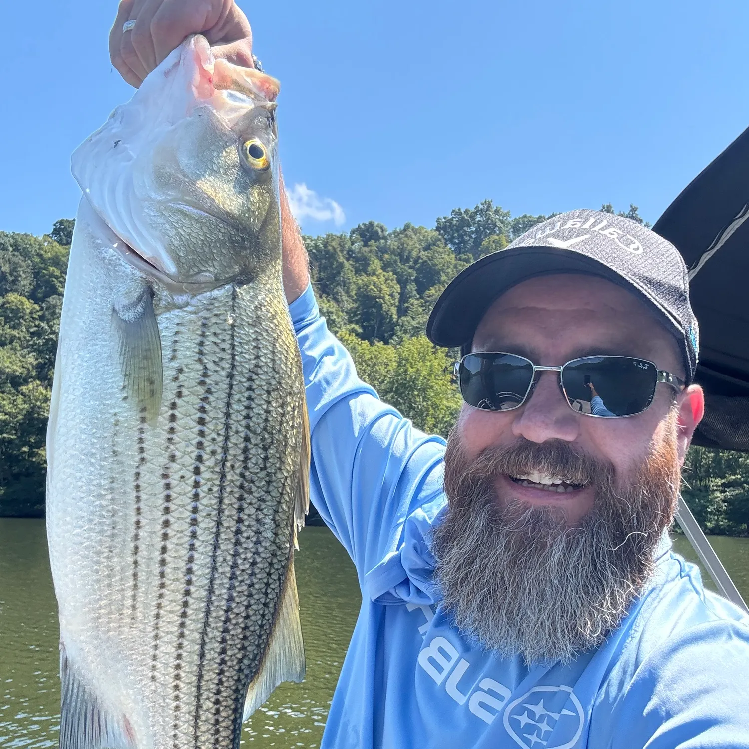 Wiper caught on Fishbrain