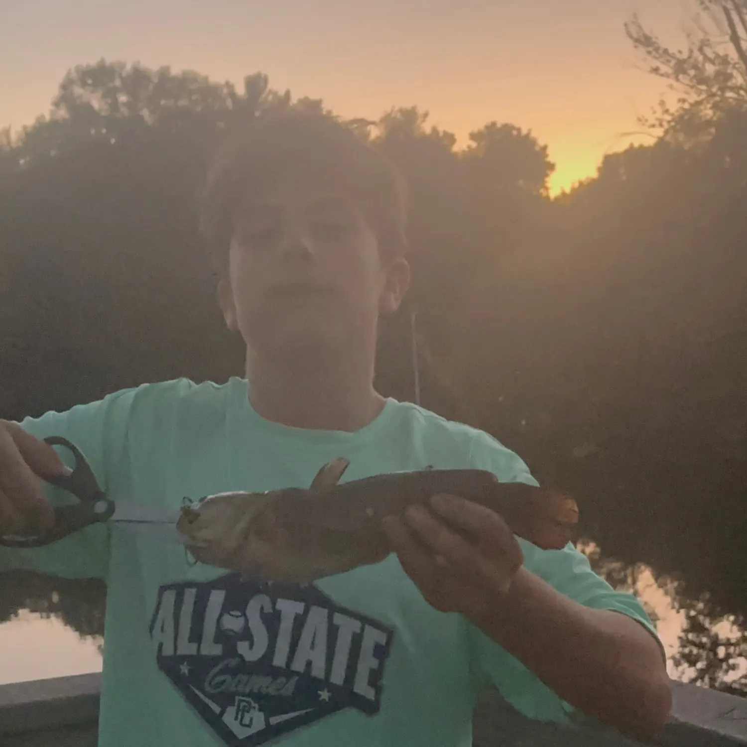 Yellow bullhead caught on Fishbrain