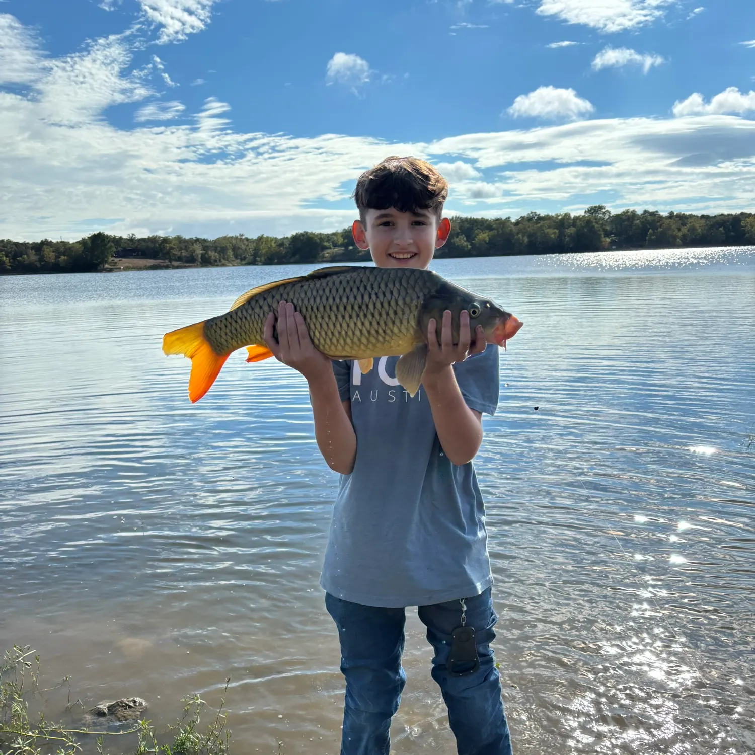Common carp caught on Fishbrain