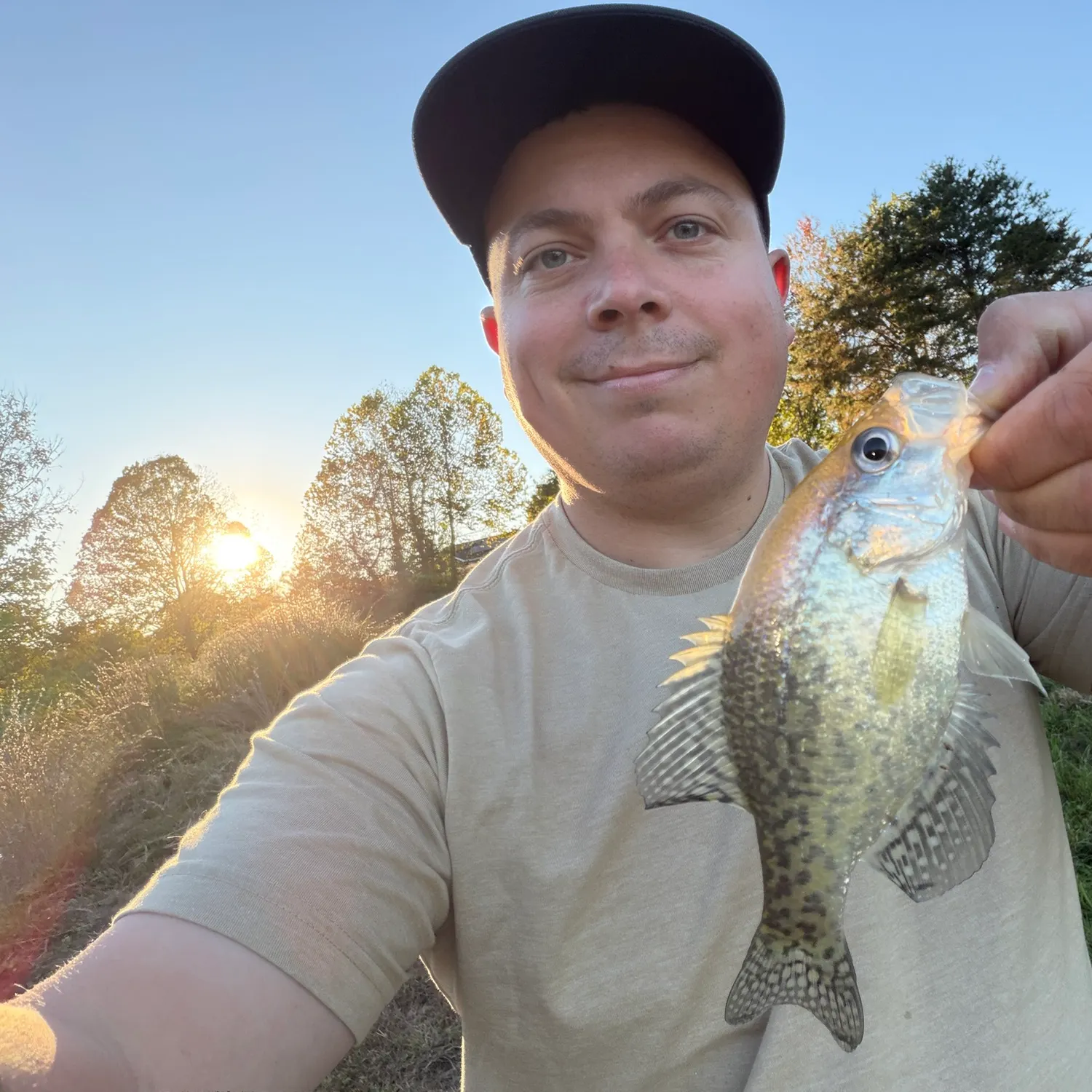White crappie caught on Fishbrain