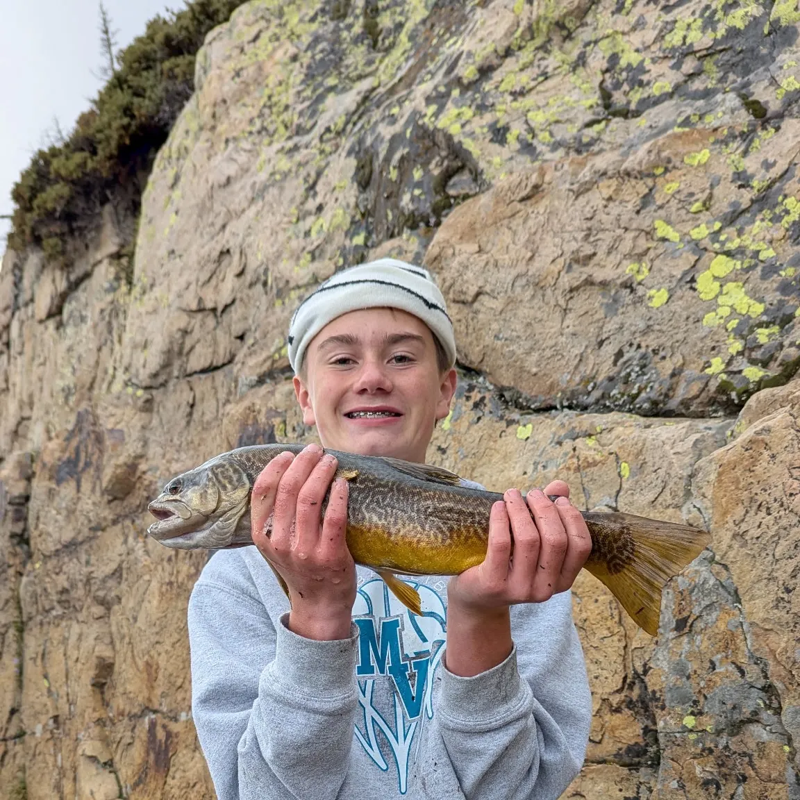 Tiger trout caught on Fishbrain