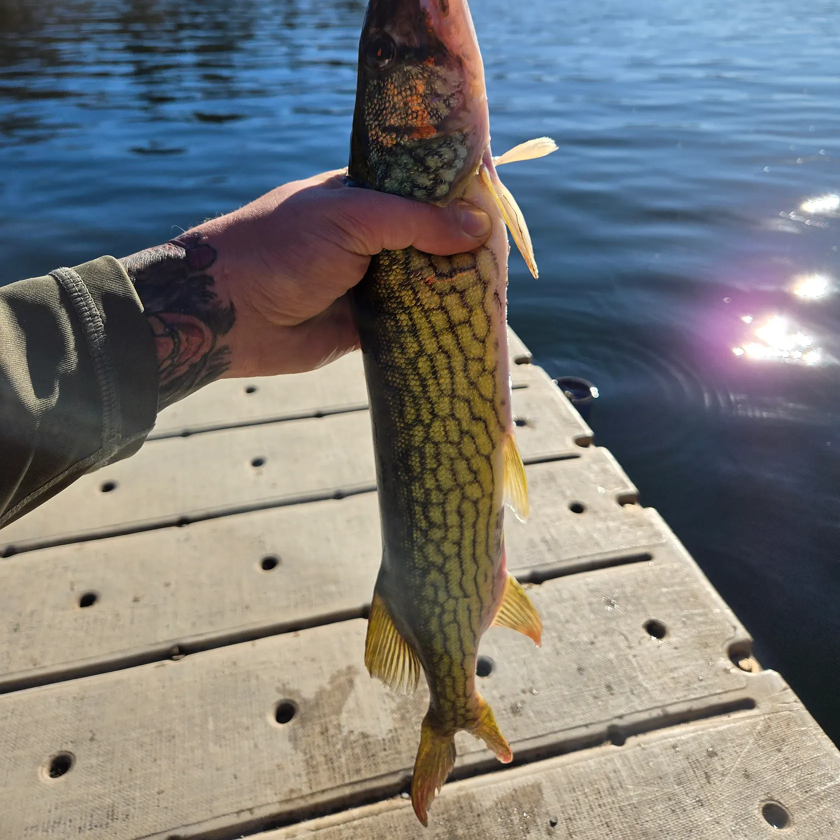 most liked catch image