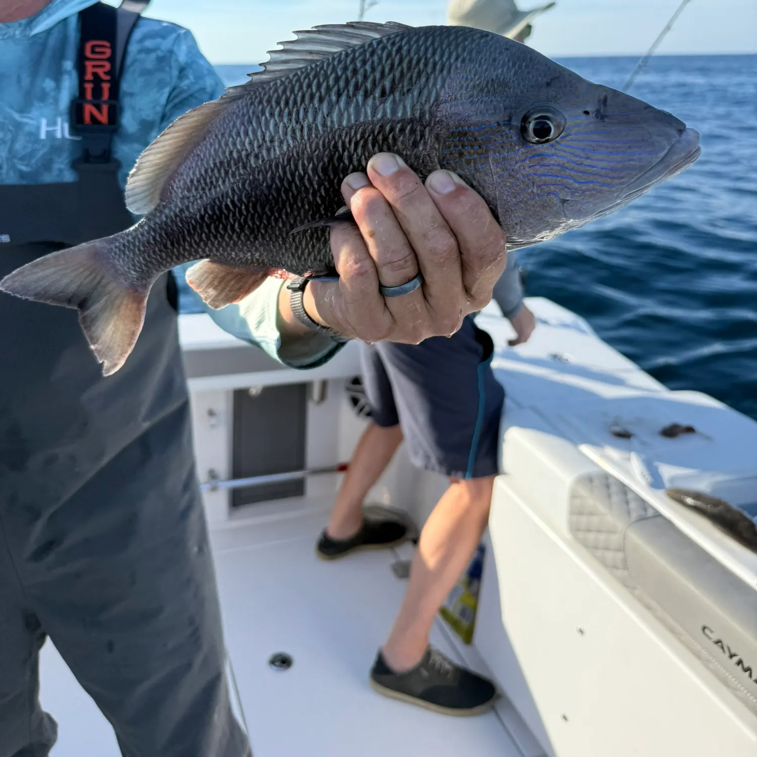 The most recent White grunt catches on Fishbrain