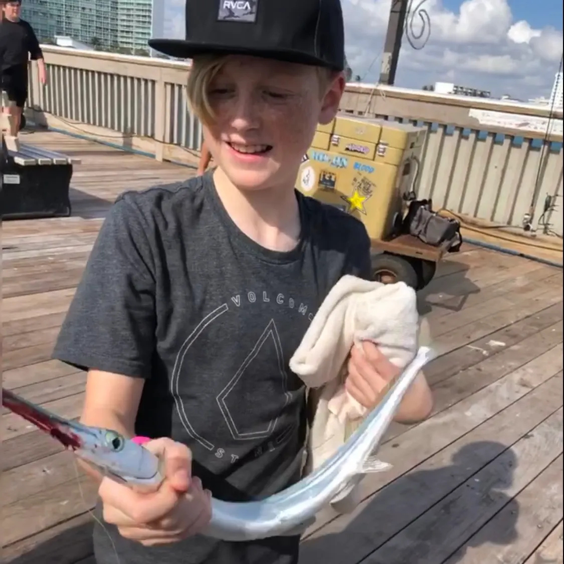 The most recent Atlantic needlefish catches on Fishbrain