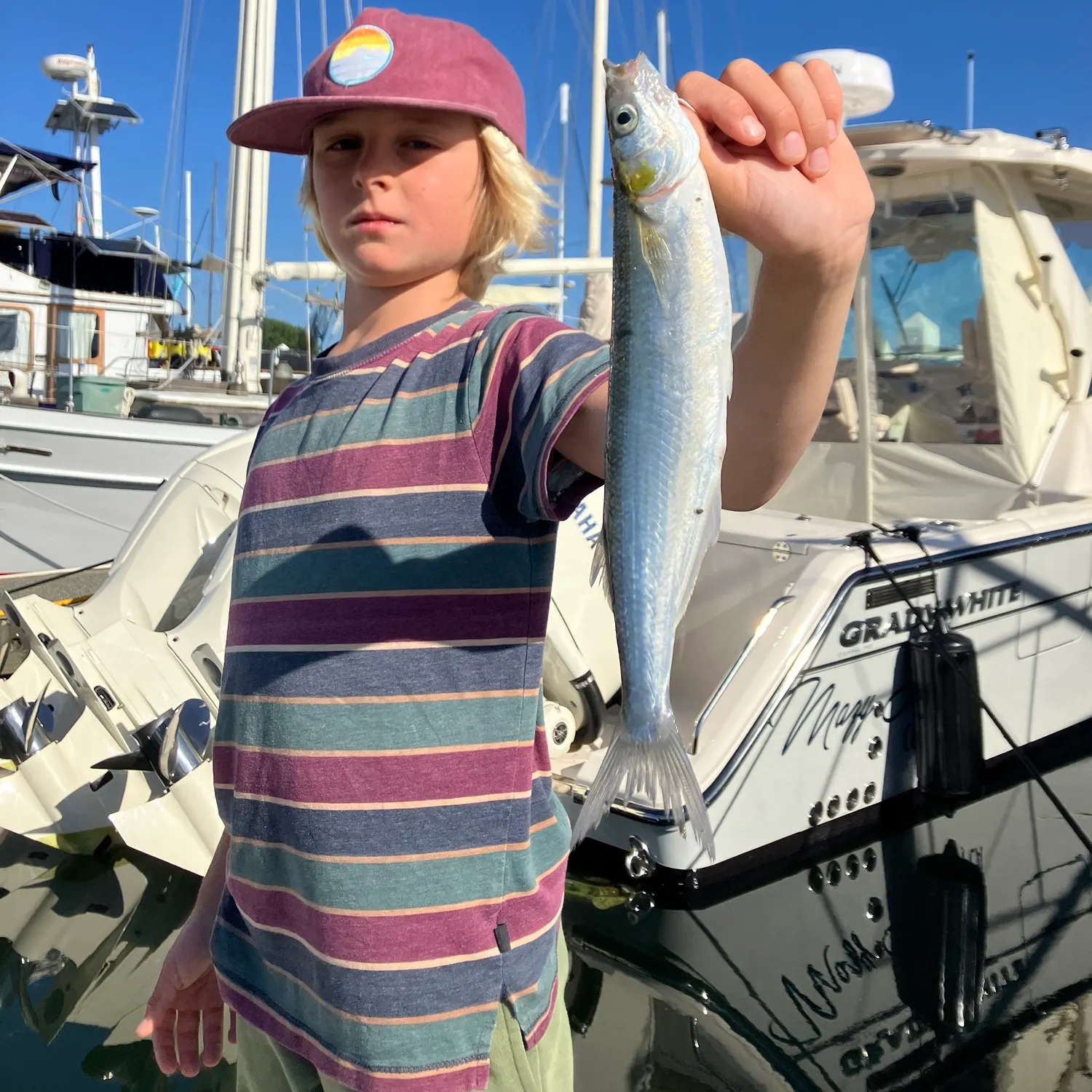 The most recent Jack silverside catches on Fishbrain