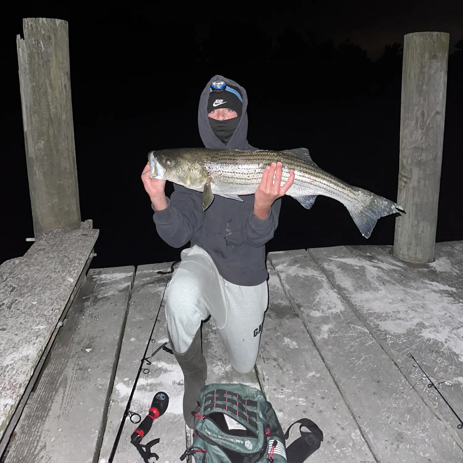 Striped bass caught on Fishbrain