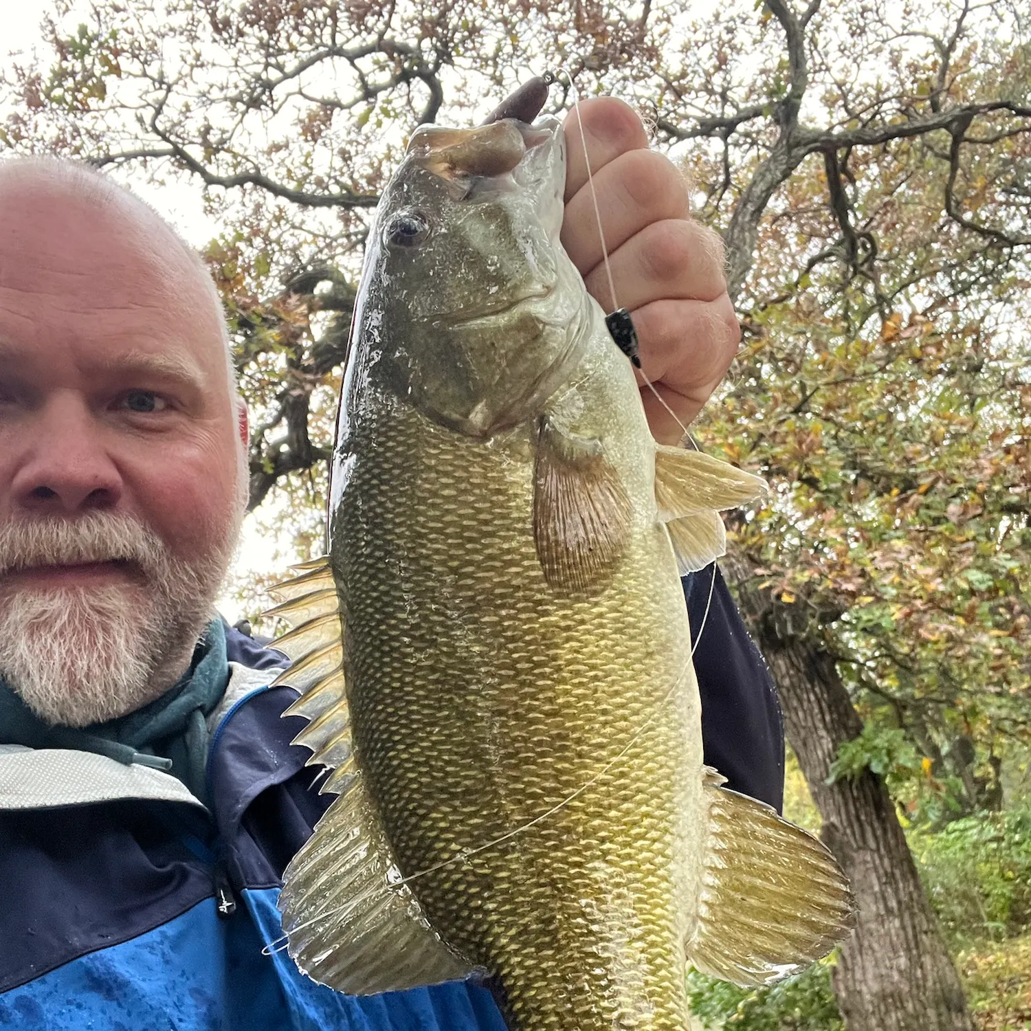 Smallmouth bass caught on Fishbrain