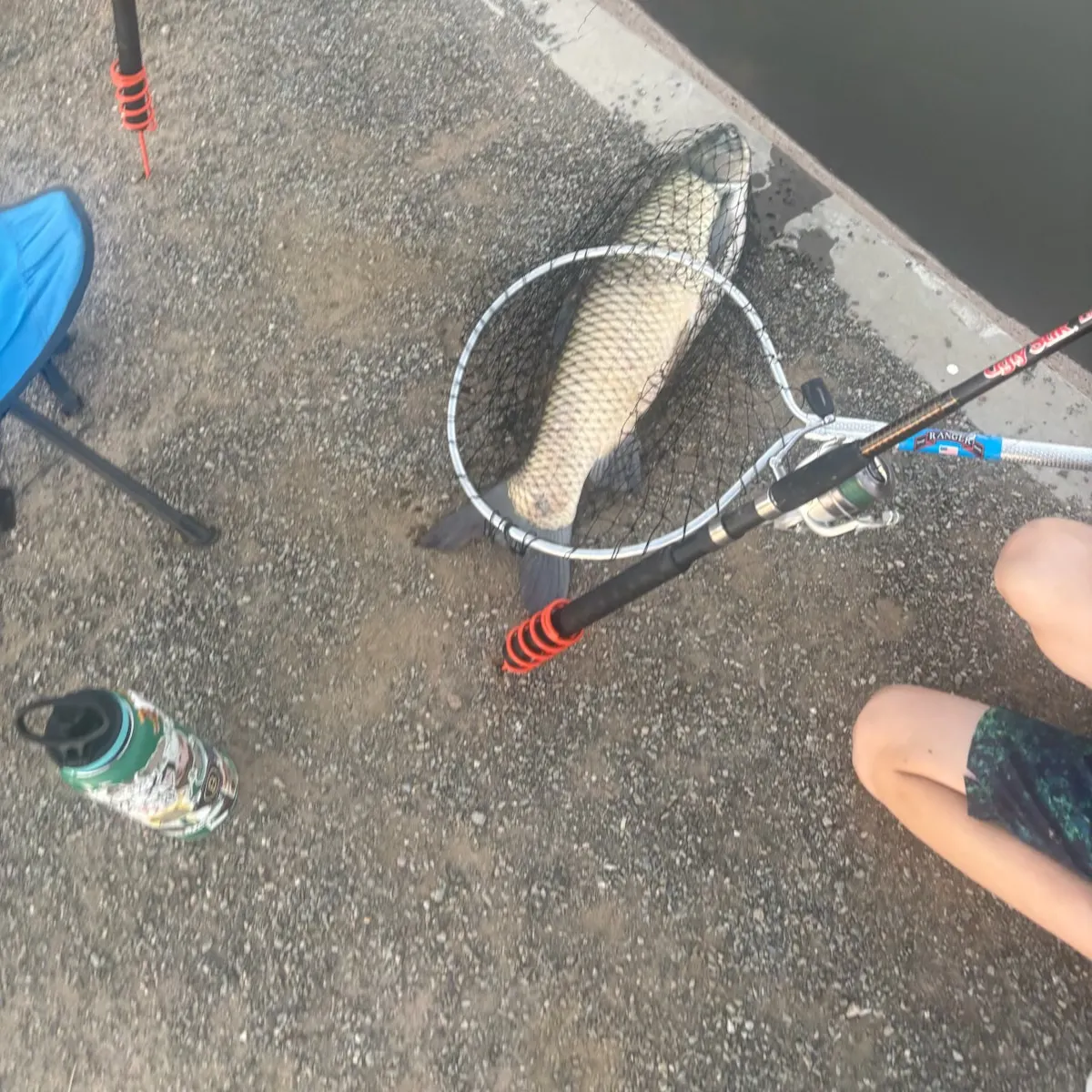 Grass carp caught on Fishbrain