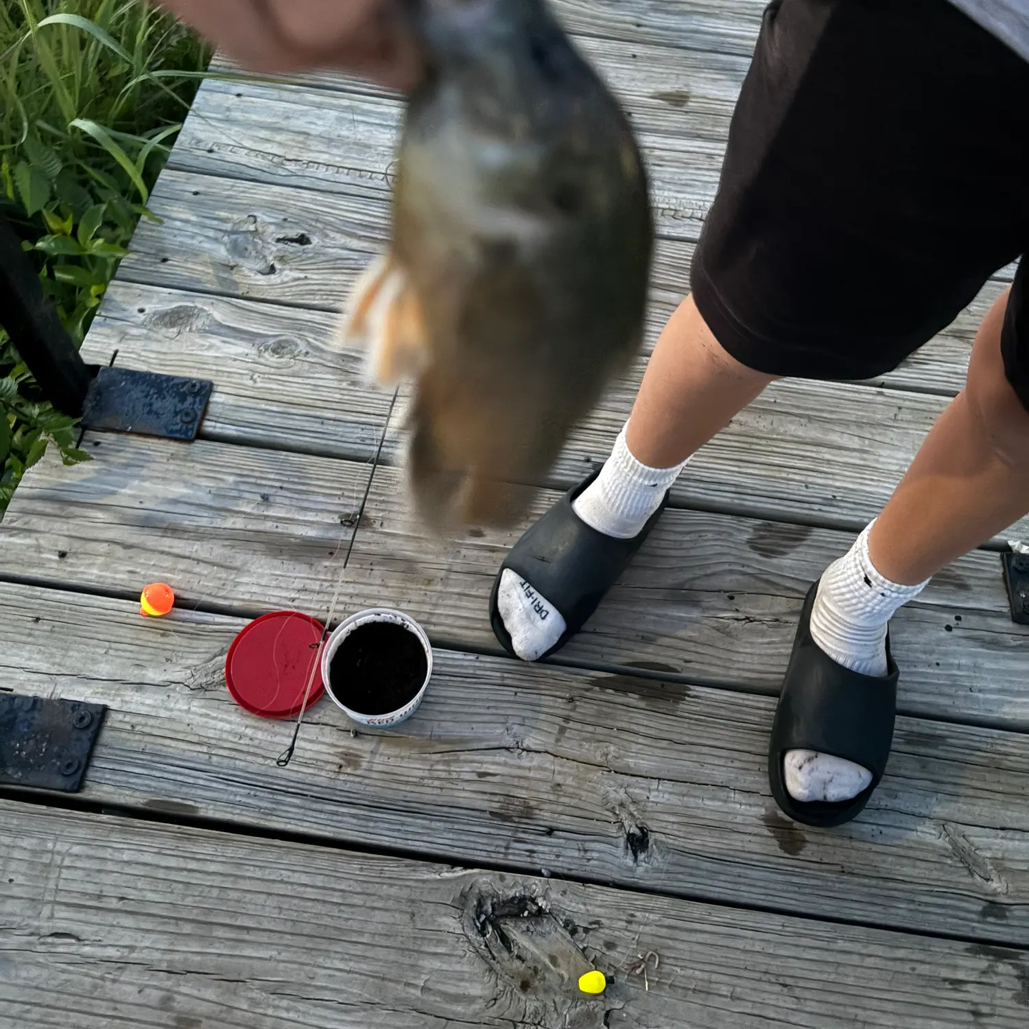 catch