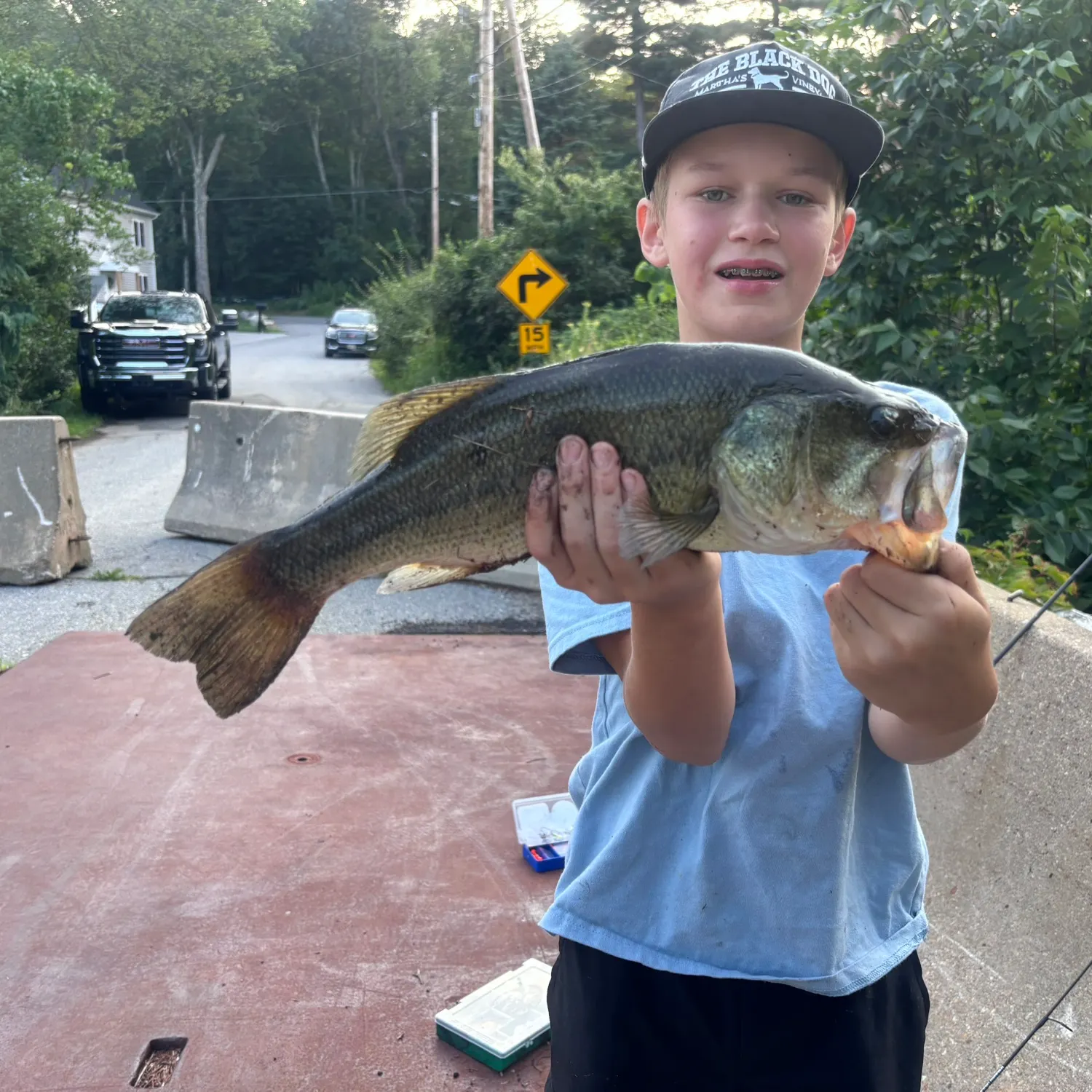 White perch caught on Fishbrain