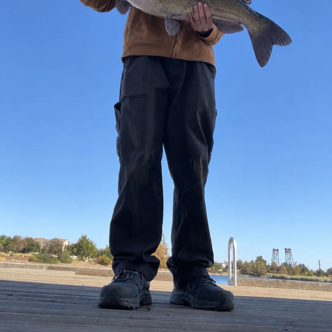 Channel catfish caught on Fishbrain