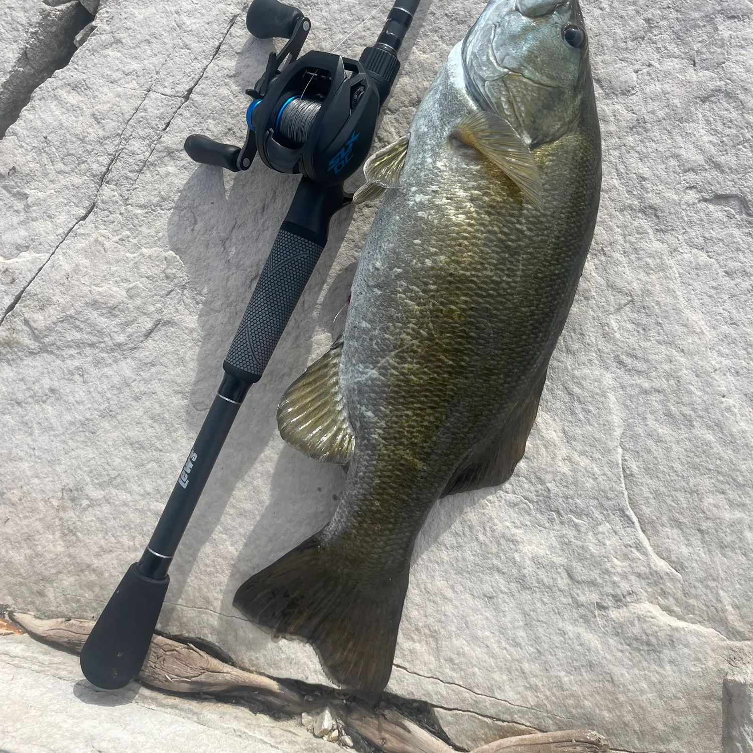 Smallmouth bass caught on Fishbrain