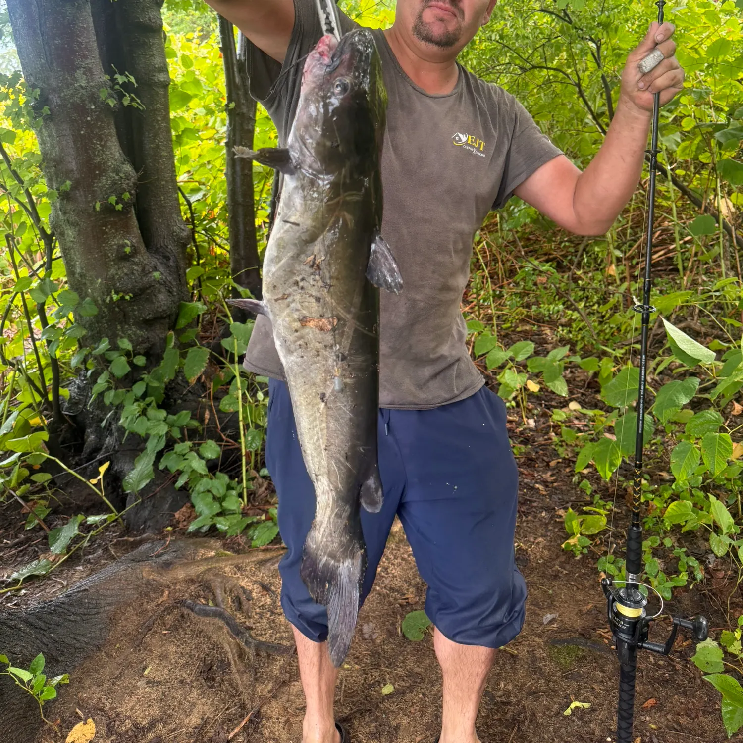 Fish caught on Fishbrain
