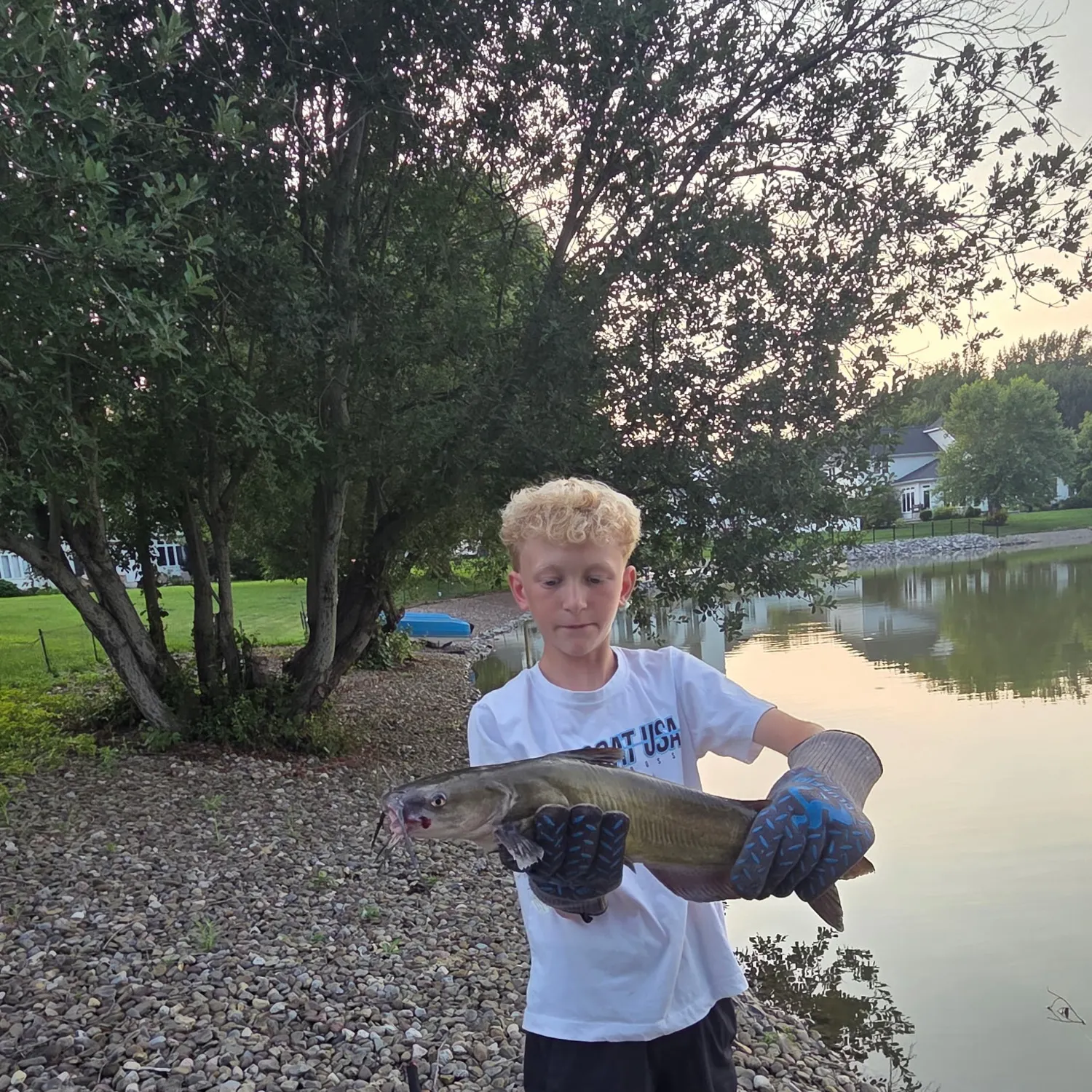 Channel catfish caught on Fishbrain