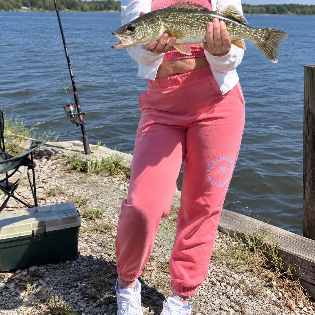Fish caught on Fishbrain