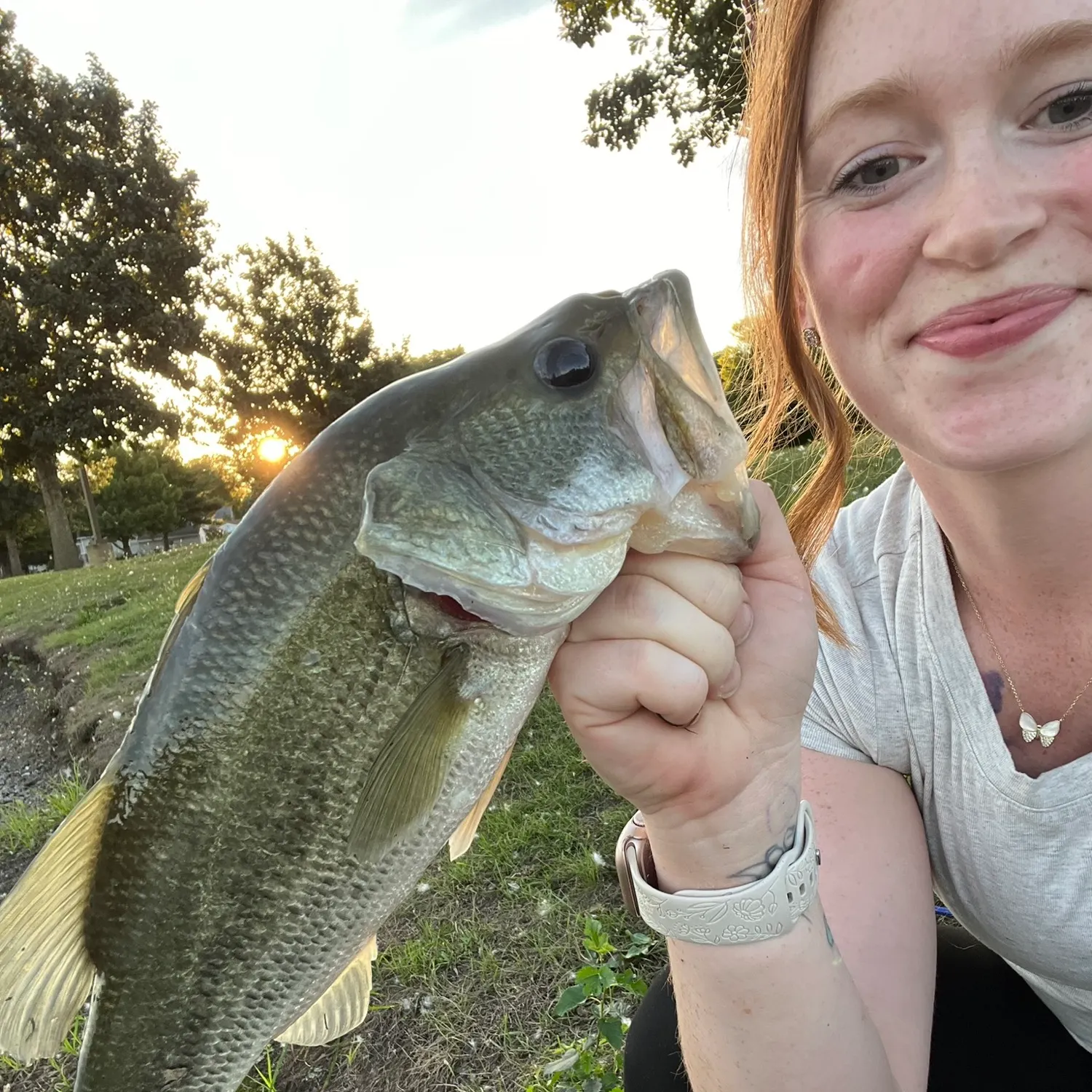Largemouth bass caught on Fishbrain