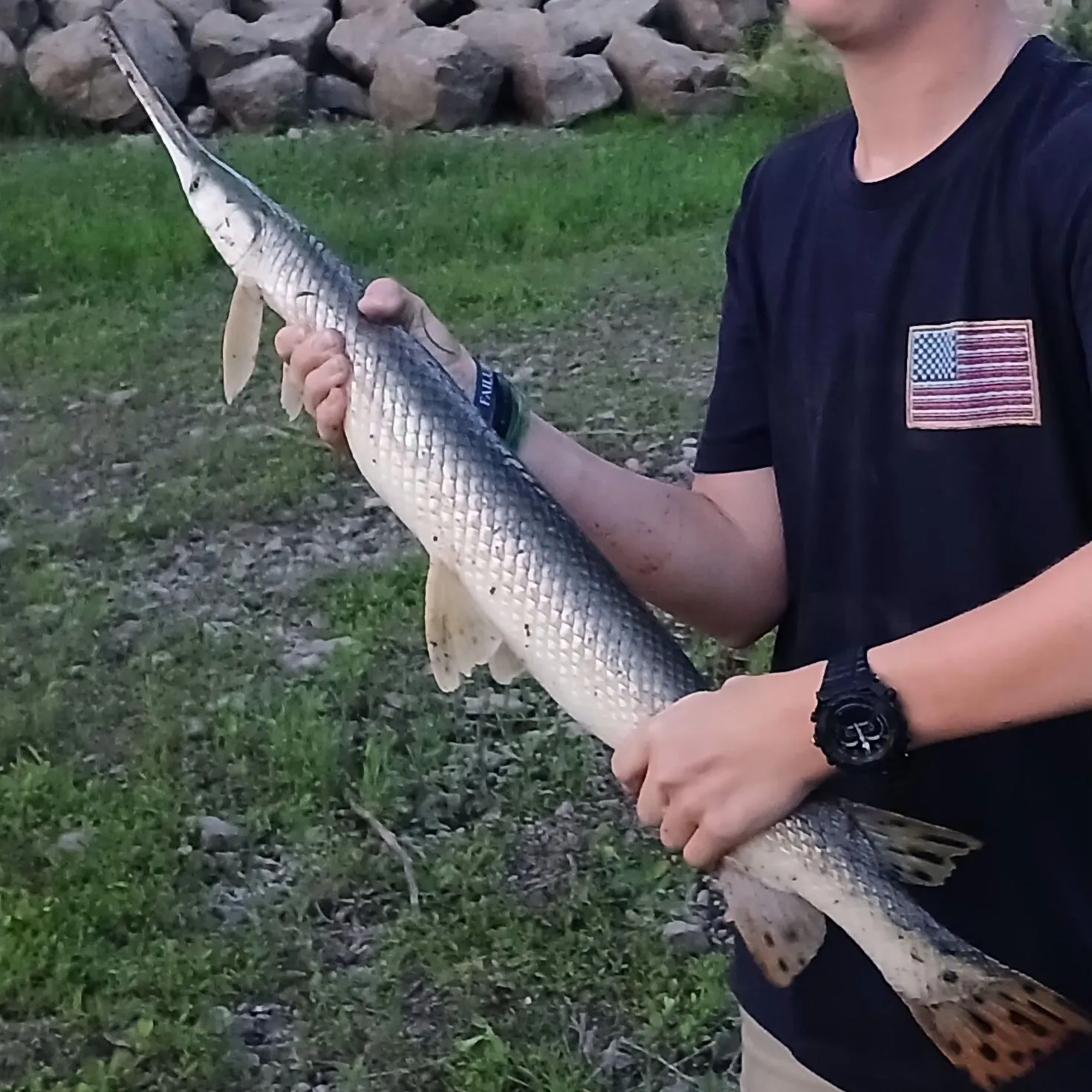 recently logged catches