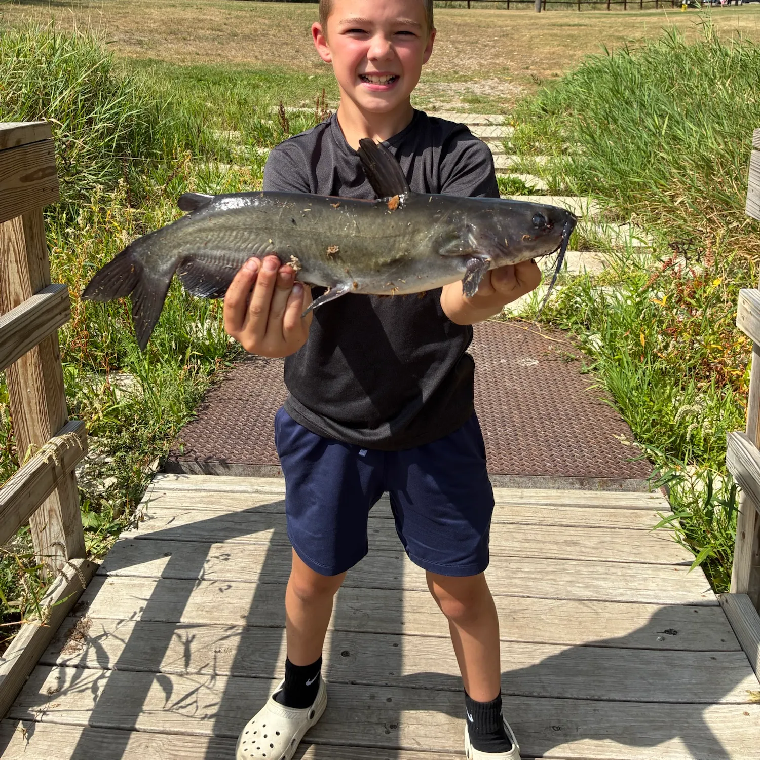 Channel catfish caught on Fishbrain