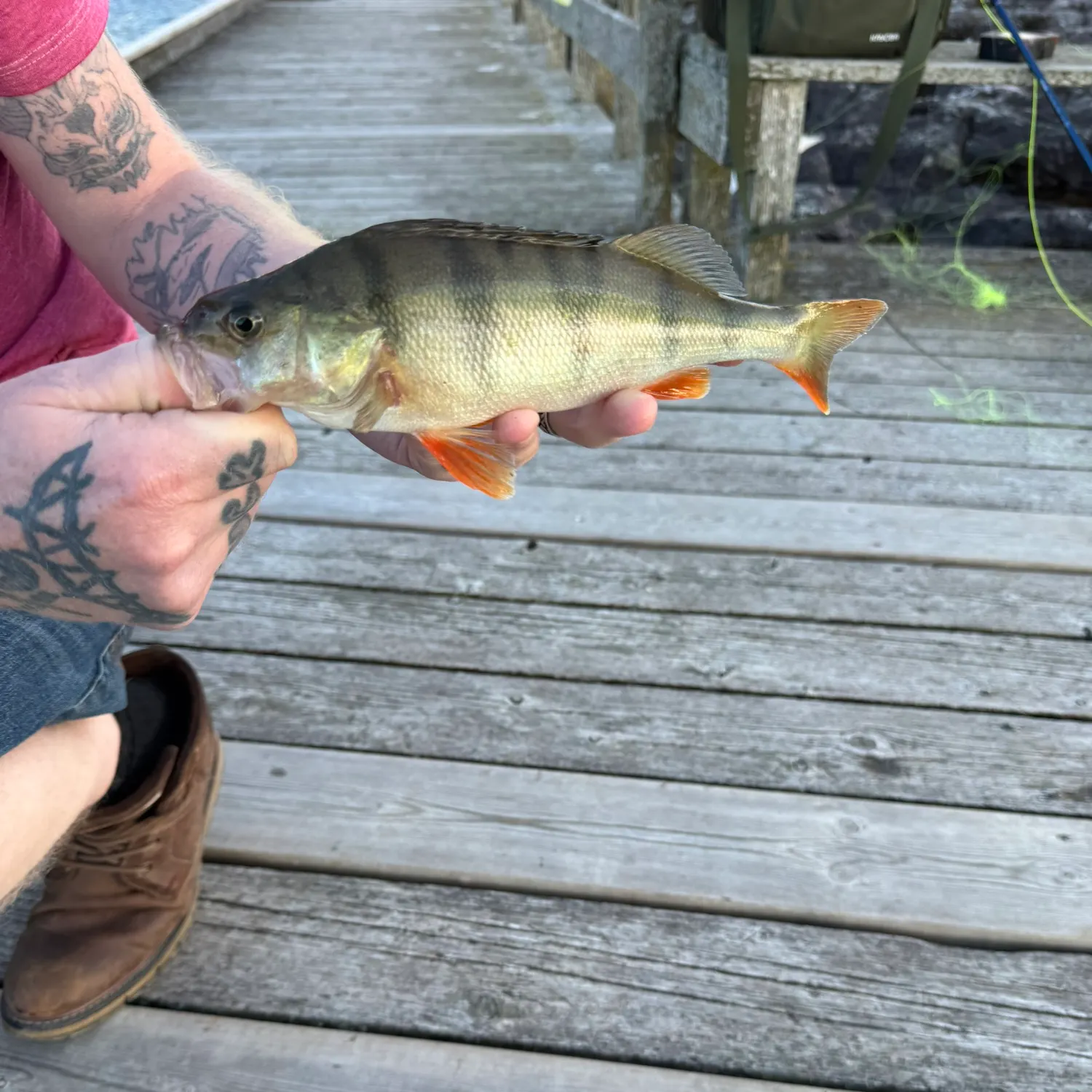 catch